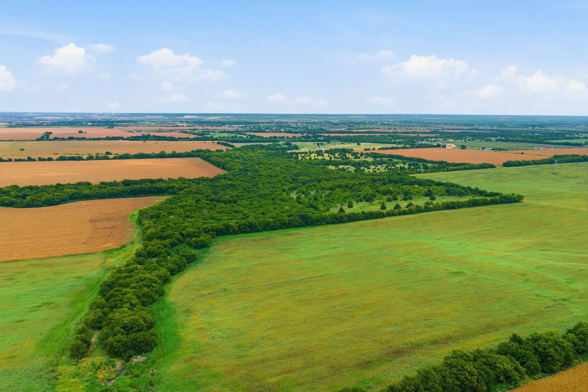 Unimproved Land For Sale in Johnson County , 10935 County Road 109, Alvarado, Texas 76009, 0, 0, Garage spaces, 0 Sqft, built in 0, mls#21374814, Real Estate Agent in Alvarado, Homes For Sale in Johnson county, Homes For Sale in Alvarado, Realtor in Alvarado Texas, Real Estate Brokerage Independent Realty Texas, Luminita Cordes Realtor