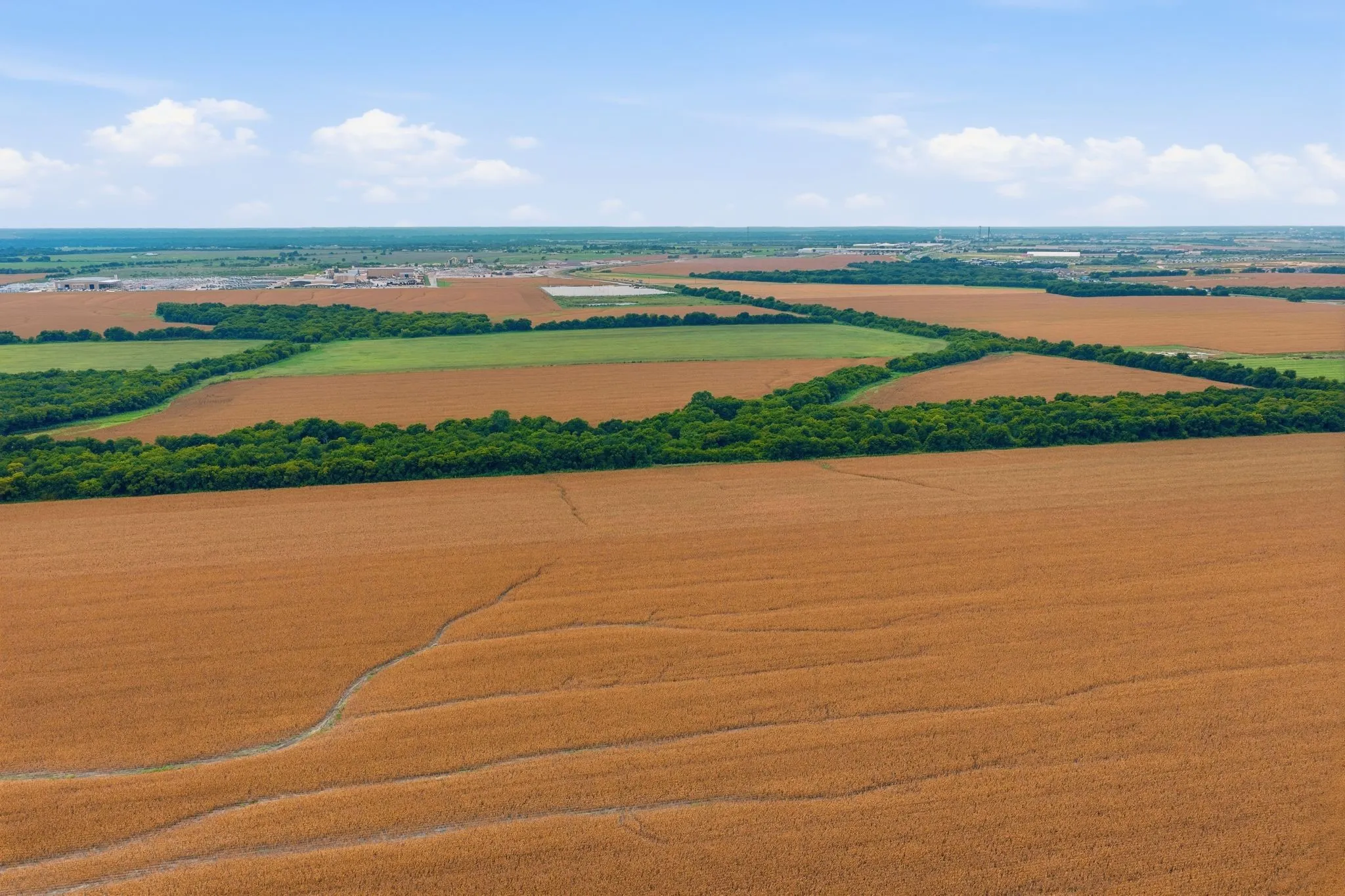 Unimproved Land For Sale in Johnson County , 10935 County Road 109, Alvarado, Texas 76009, 0, 0, Garage spaces, 0 Sqft, built in 0, mls#21374814, Real Estate Agent in Alvarado, Homes For Sale in Johnson county, Homes For Sale in Alvarado, Realtor in Alvarado Texas, Real Estate Brokerage Independent Realty Texas, Luminita Cordes Realtor