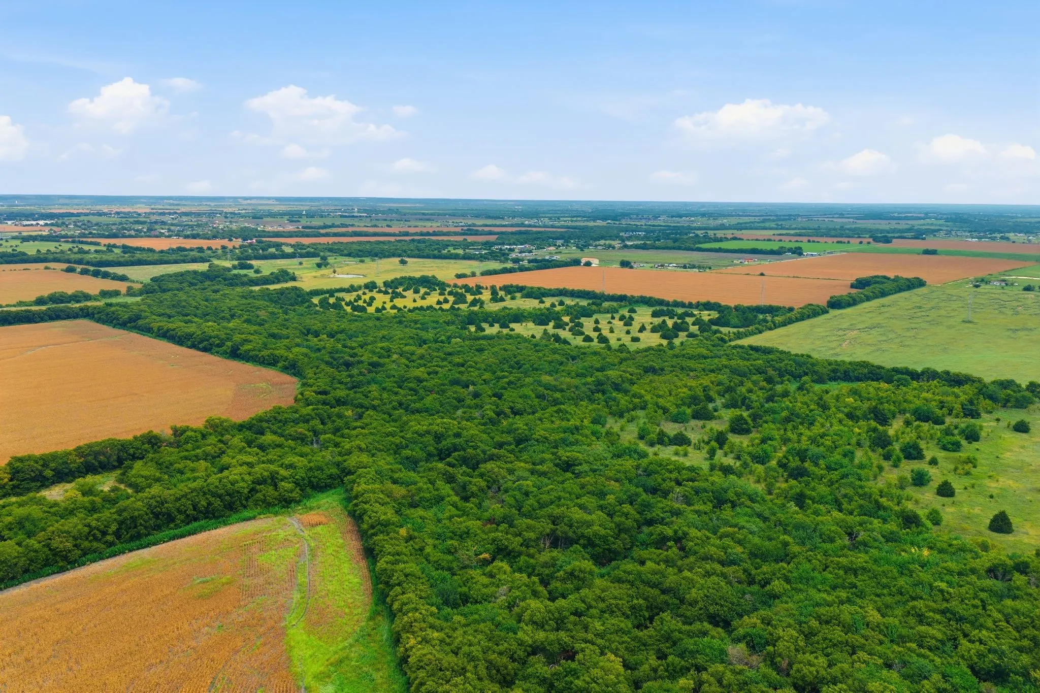 Unimproved Land For Sale in Johnson County , 10935 County Road 109, Alvarado, Texas 76009, 0, 0, Garage spaces, 0 Sqft, built in 0, mls#21374814, Real Estate Agent in Alvarado, Homes For Sale in Johnson county, Homes For Sale in Alvarado, Realtor in Alvarado Texas, Real Estate Brokerage Independent Realty Texas, Luminita Cordes Realtor