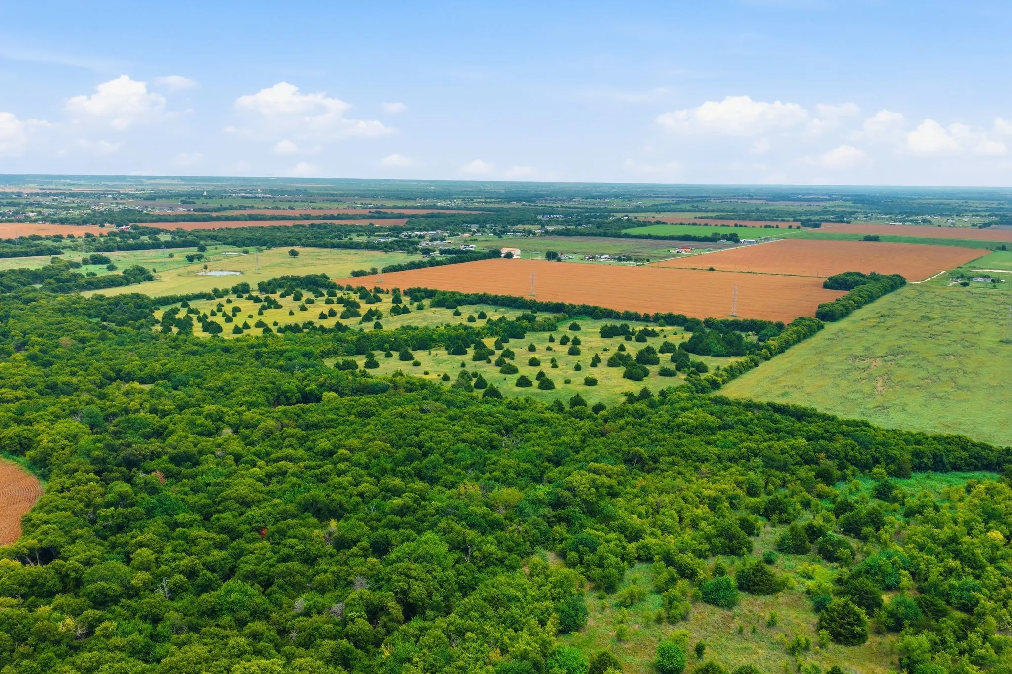 Unimproved Land For Sale in Johnson County , 10935 County Road 109, Alvarado, Texas 76009, 0, 0, Garage spaces, 0 Sqft, built in 0, mls#21374814, Real Estate Agent in Alvarado, Homes For Sale in Johnson county, Homes For Sale in Alvarado, Realtor in Alvarado Texas, Real Estate Brokerage Independent Realty Texas, Luminita Cordes Realtor