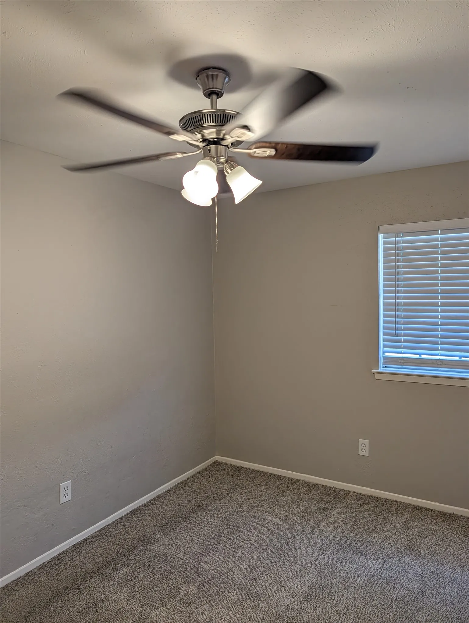 Single Family Residence For Rent in Tarrant County , 245 Rancho Drive, Saginaw, Texas 76179, 3 Bedroom, 2 Bathroom, Garage spaces, 1,740 Sqft, built in 1970, mls#21375063, Real Estate Agent in Saginaw, Homes For Rent in Tarrant county, Homes For Rent in Saginaw, Realtor in Saginaw Texas, Real Estate Brokerage Independent Realty Texas, Luminita Cordes Realtor