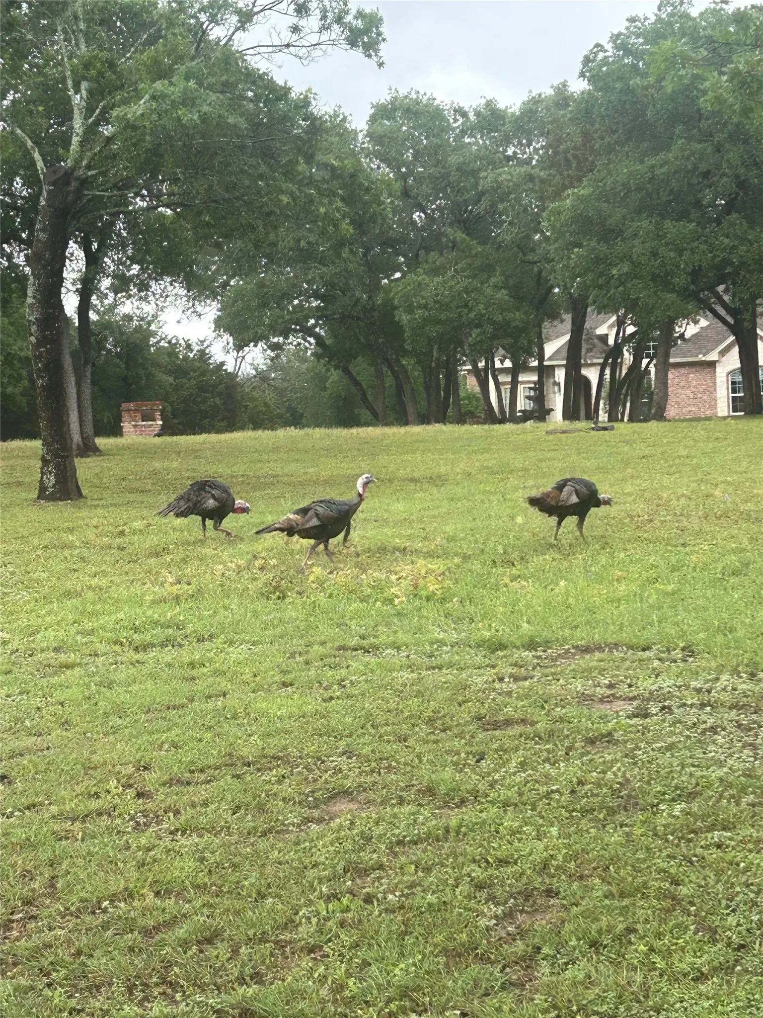 Single Family Residence For Sale in Mc Lennan County , 700 Lost Hunters, China Spring, Texas 76633, 4 Bedroom, 3 Bathroom, 2 Garage spaces, 2,348 Sqft, built in 2005, mls#21374198, Real Estate Agent in China Spring, Homes For Sale in Mc Lennan county, Homes For Sale in China Spring, Realtor in China Spring Texas, Real Estate Brokerage Independent Realty Texas, Luminita Cordes Realtor