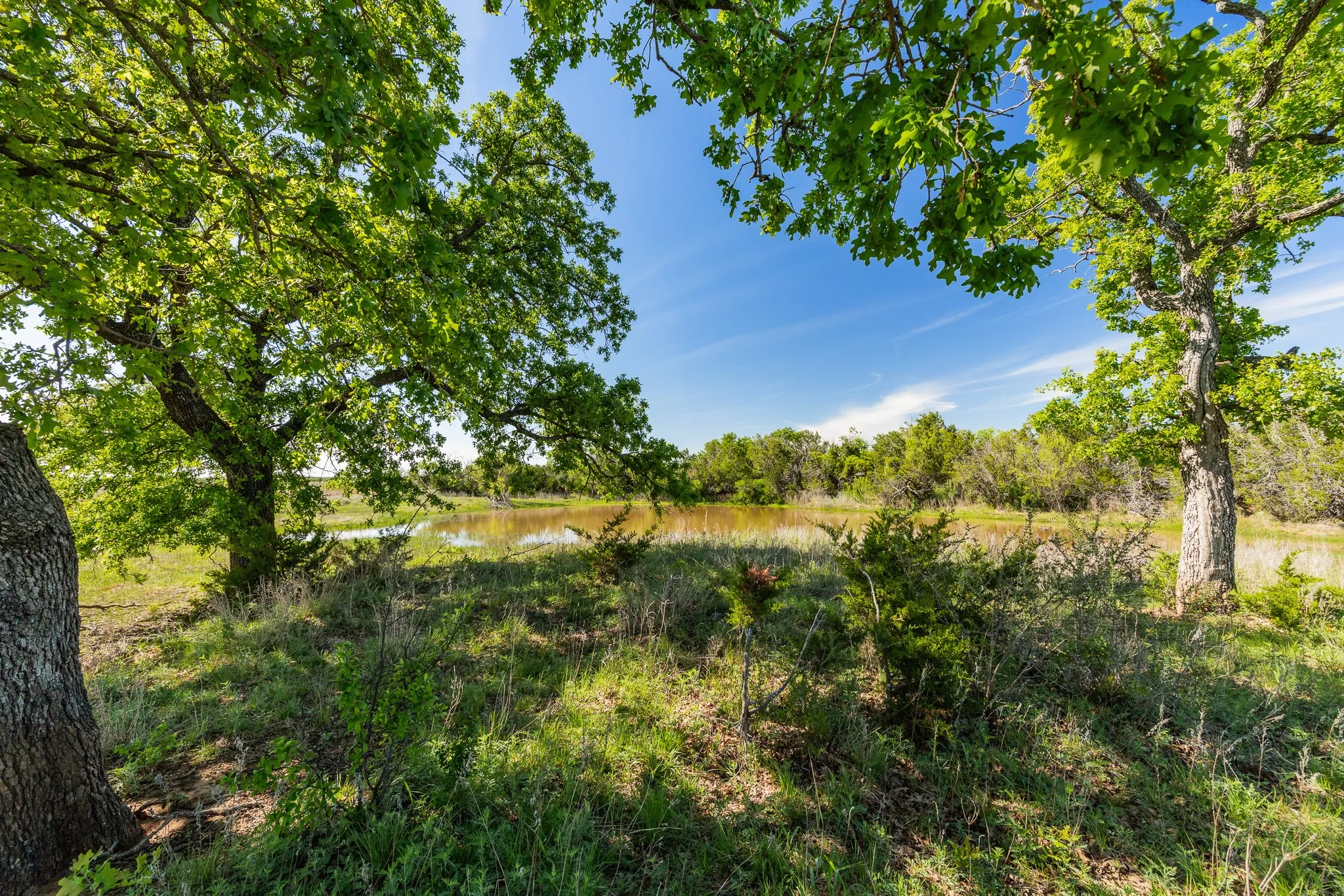 Ranch For Sale in Coleman County , TBD 200 County Road 121, Coleman, Texas 76834, 0, 0, Garage spaces, 0 Sqft, built in 0, mls#21371976, Real Estate Agent in Coleman, Homes For Sale in Coleman county, Homes For Sale in Coleman, Realtor in Coleman Texas, Real Estate Brokerage Independent Realty Texas, Luminita Cordes Realtor