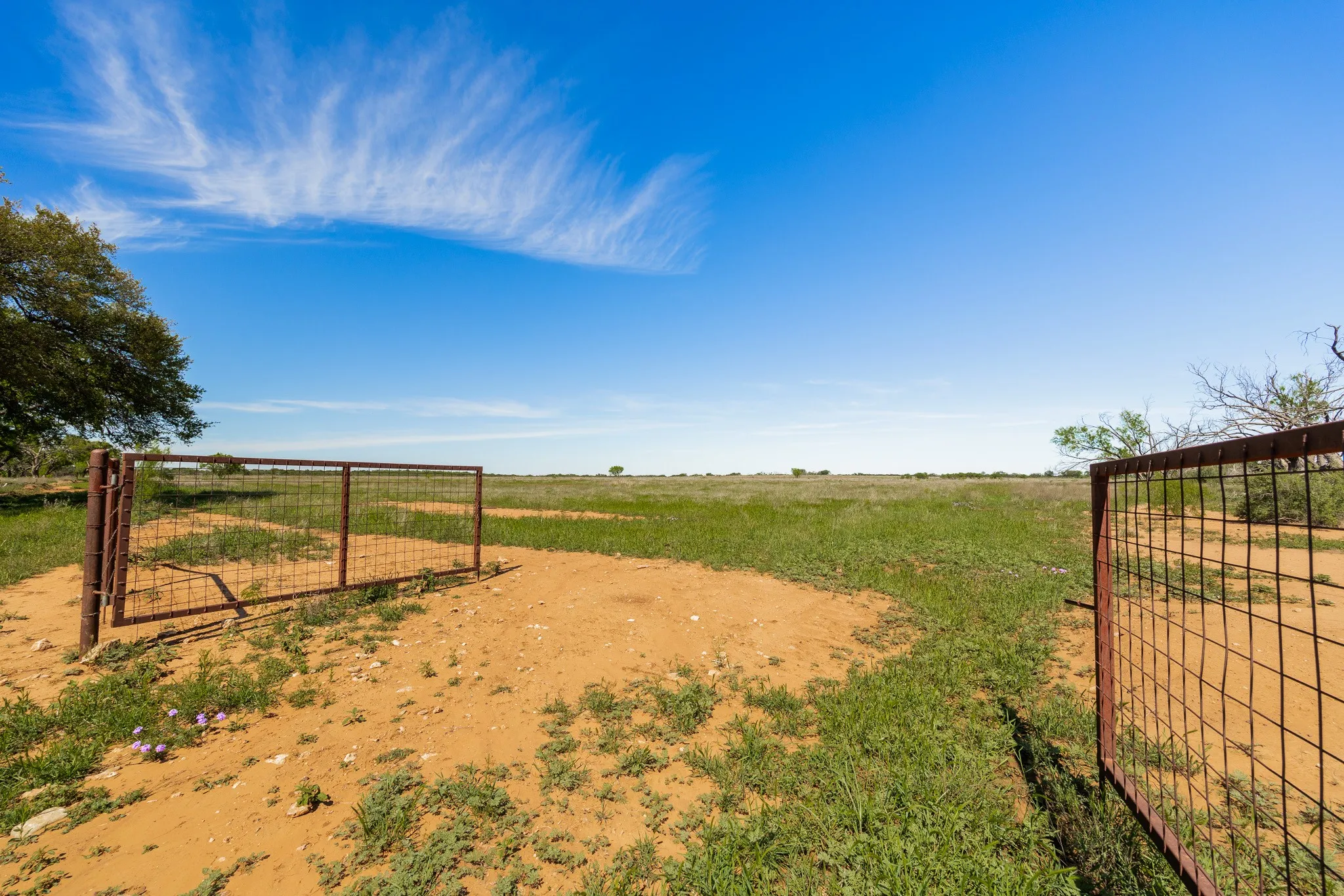 Ranch For Sale in Coleman County , TBD 200 County Road 121, Coleman, Texas 76834, 0, 0, Garage spaces, 0 Sqft, built in 0, mls#21371976, Real Estate Agent in Coleman, Homes For Sale in Coleman county, Homes For Sale in Coleman, Realtor in Coleman Texas, Real Estate Brokerage Independent Realty Texas, Luminita Cordes Realtor