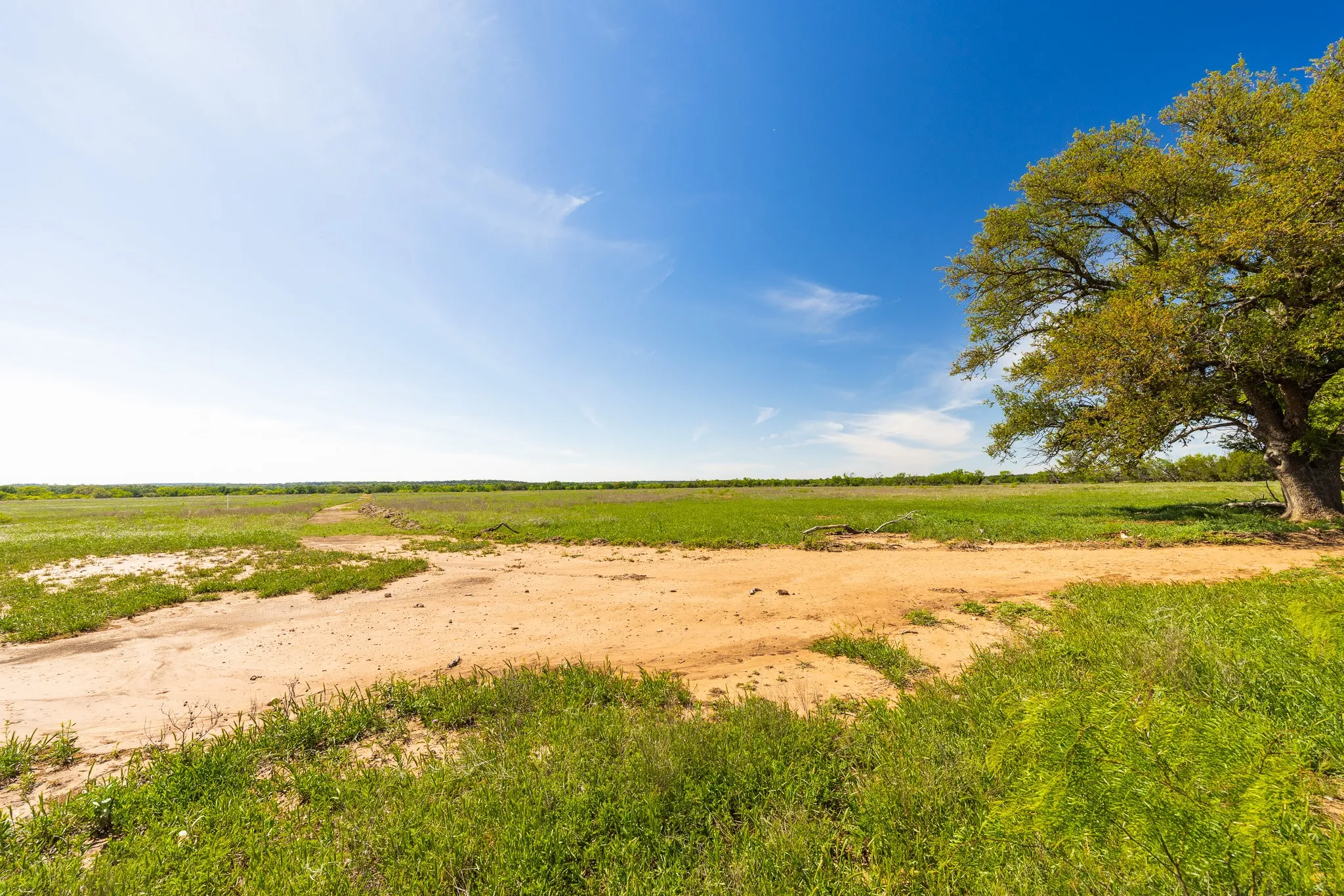 Ranch For Sale in Coleman County , TBD 200 County Road 121, Coleman, Texas 76834, 0, 0, Garage spaces, 0 Sqft, built in 0, mls#21371976, Real Estate Agent in Coleman, Homes For Sale in Coleman county, Homes For Sale in Coleman, Realtor in Coleman Texas, Real Estate Brokerage Independent Realty Texas, Luminita Cordes Realtor