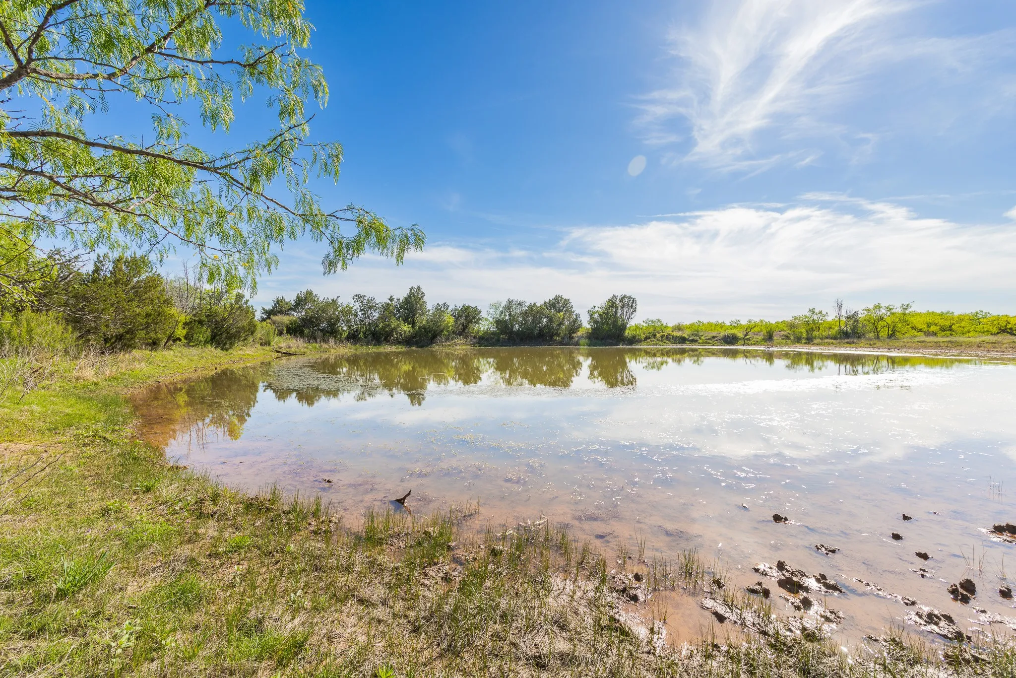 Ranch For Sale in Coleman County , TBD 200 County Road 121, Coleman, Texas 76834, 0, 0, Garage spaces, 0 Sqft, built in 0, mls#21371976, Real Estate Agent in Coleman, Homes For Sale in Coleman county, Homes For Sale in Coleman, Realtor in Coleman Texas, Real Estate Brokerage Independent Realty Texas, Luminita Cordes Realtor