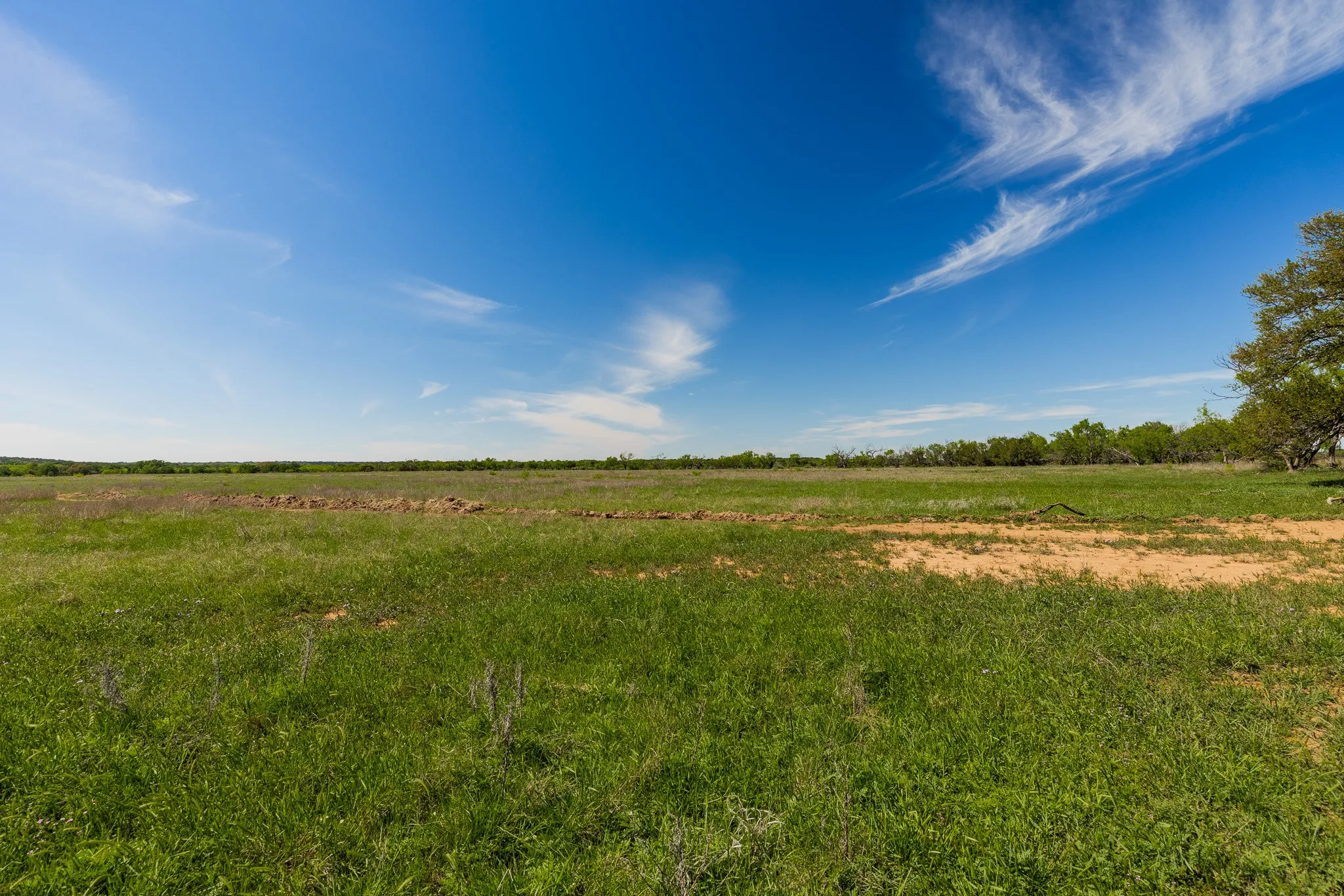 Ranch For Sale in Coleman County , TBD 200 County Road 121, Coleman, Texas 76834, 0, 0, Garage spaces, 0 Sqft, built in 0, mls#21371976, Real Estate Agent in Coleman, Homes For Sale in Coleman county, Homes For Sale in Coleman, Realtor in Coleman Texas, Real Estate Brokerage Independent Realty Texas, Luminita Cordes Realtor