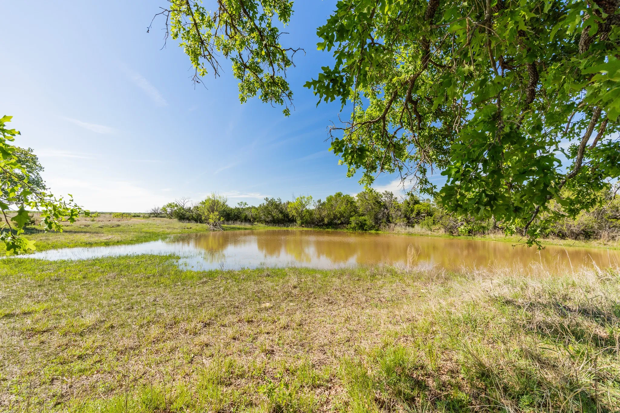 Ranch For Sale in Coleman County , TBD 200 County Road 121, Coleman, Texas 76834, 0, 0, Garage spaces, 0 Sqft, built in 0, mls#21371976, Real Estate Agent in Coleman, Homes For Sale in Coleman county, Homes For Sale in Coleman, Realtor in Coleman Texas, Real Estate Brokerage Independent Realty Texas, Luminita Cordes Realtor