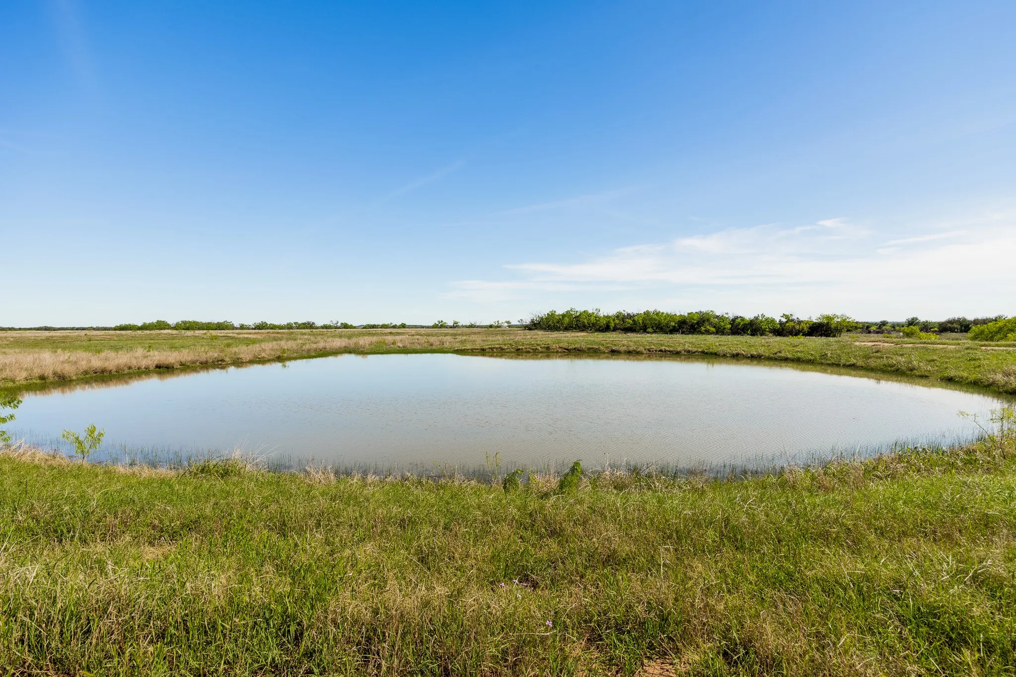 Ranch For Sale in Coleman County , TBD 200 County Road 121, Coleman, Texas 76834, 0, 0, Garage spaces, 0 Sqft, built in 0, mls#21371976, Real Estate Agent in Coleman, Homes For Sale in Coleman county, Homes For Sale in Coleman, Realtor in Coleman Texas, Real Estate Brokerage Independent Realty Texas, Luminita Cordes Realtor