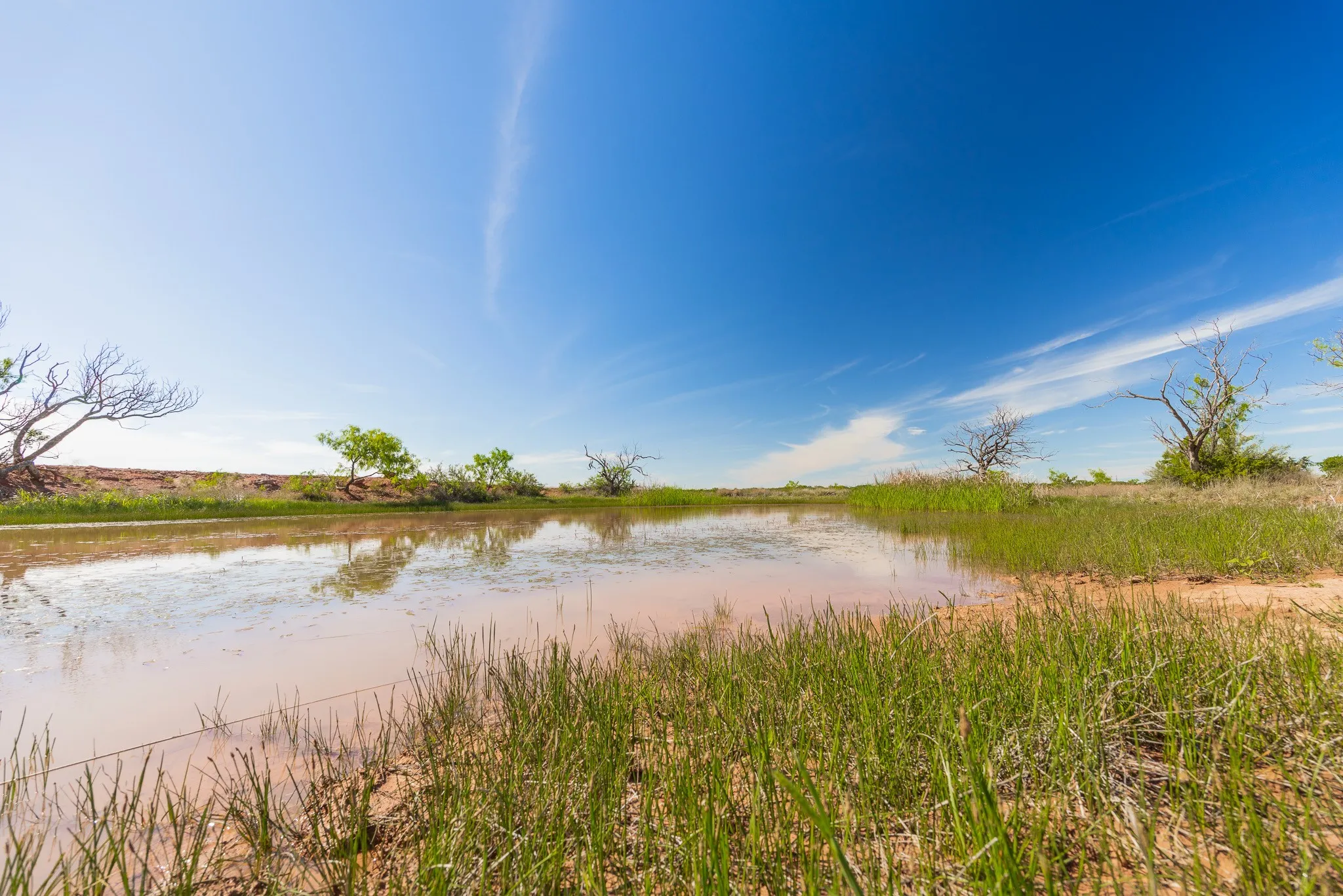 Ranch For Sale in Coleman County , TBD 200 County Road 121, Coleman, Texas 76834, 0, 0, Garage spaces, 0 Sqft, built in 0, mls#21371976, Real Estate Agent in Coleman, Homes For Sale in Coleman county, Homes For Sale in Coleman, Realtor in Coleman Texas, Real Estate Brokerage Independent Realty Texas, Luminita Cordes Realtor