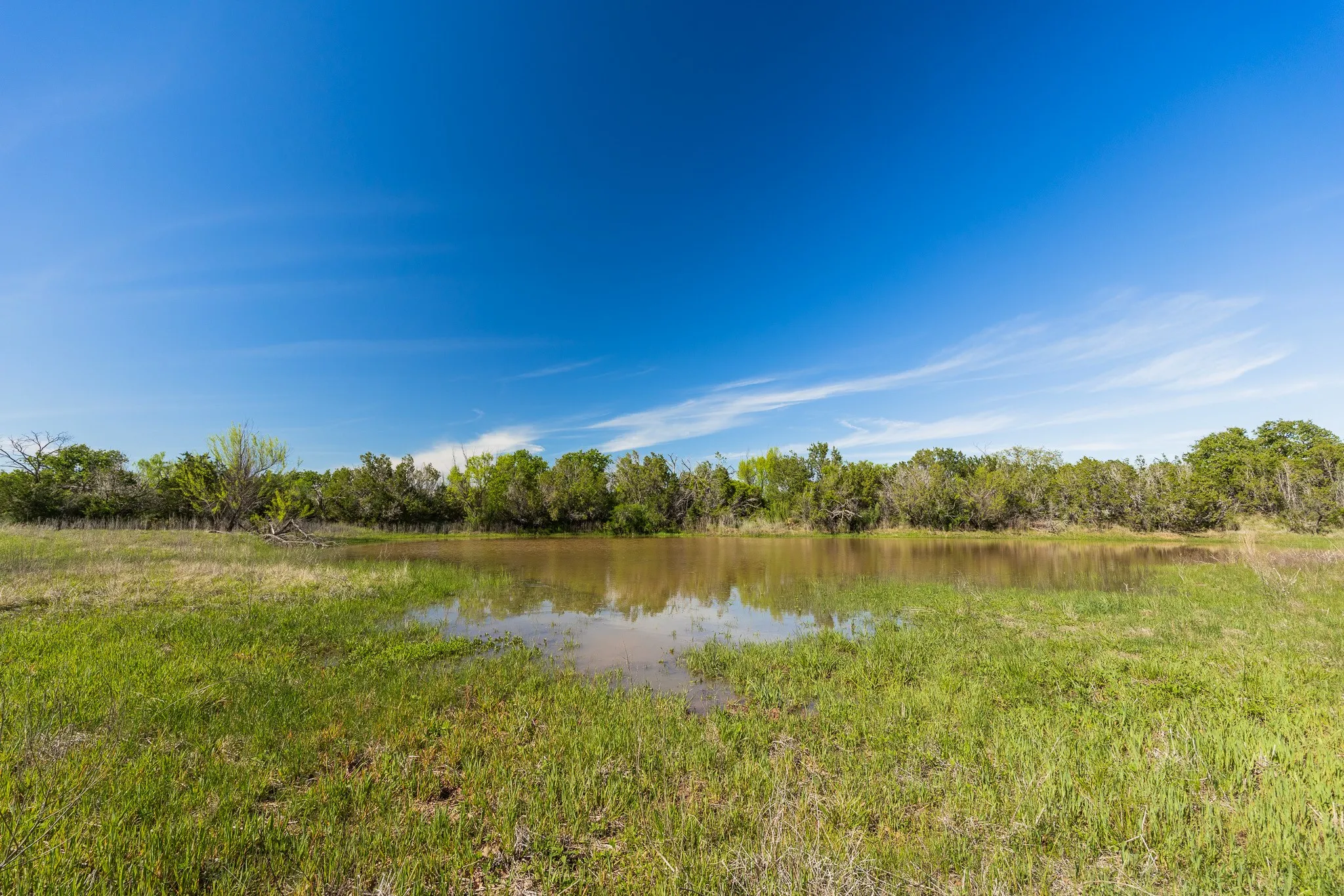 Ranch For Sale in Coleman County , TBD 200 County Road 121, Coleman, Texas 76834, 0, 0, Garage spaces, 0 Sqft, built in 0, mls#21371976, Real Estate Agent in Coleman, Homes For Sale in Coleman county, Homes For Sale in Coleman, Realtor in Coleman Texas, Real Estate Brokerage Independent Realty Texas, Luminita Cordes Realtor