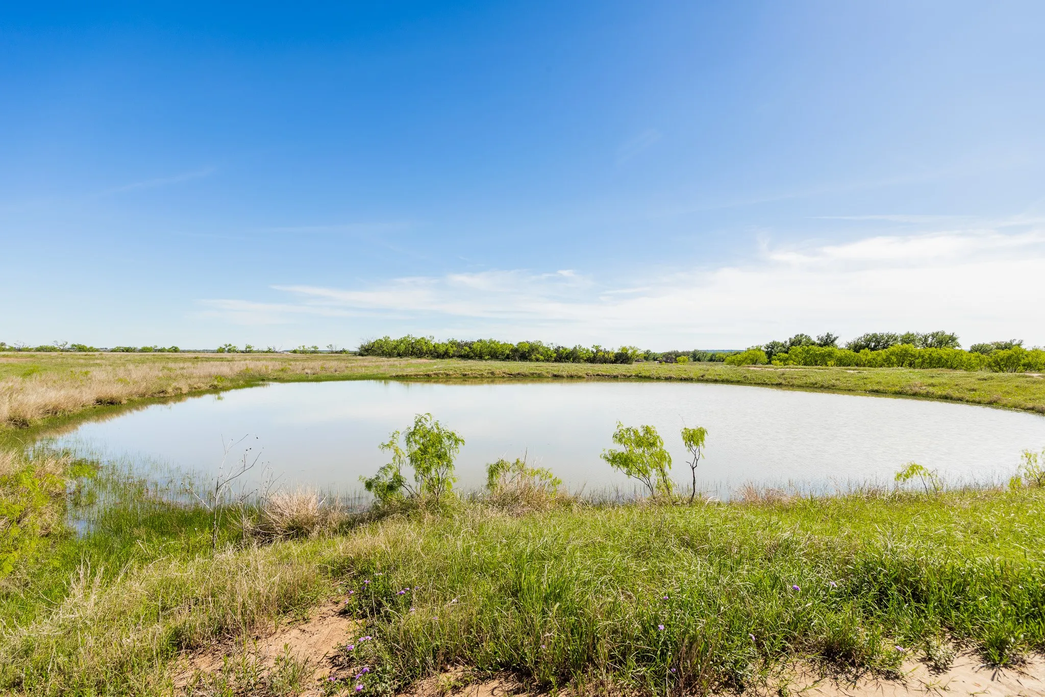Ranch For Sale in Coleman County , TBD 200 County Road 121, Coleman, Texas 76834, 0, 0, Garage spaces, 0 Sqft, built in 0, mls#21371976, Real Estate Agent in Coleman, Homes For Sale in Coleman county, Homes For Sale in Coleman, Realtor in Coleman Texas, Real Estate Brokerage Independent Realty Texas, Luminita Cordes Realtor