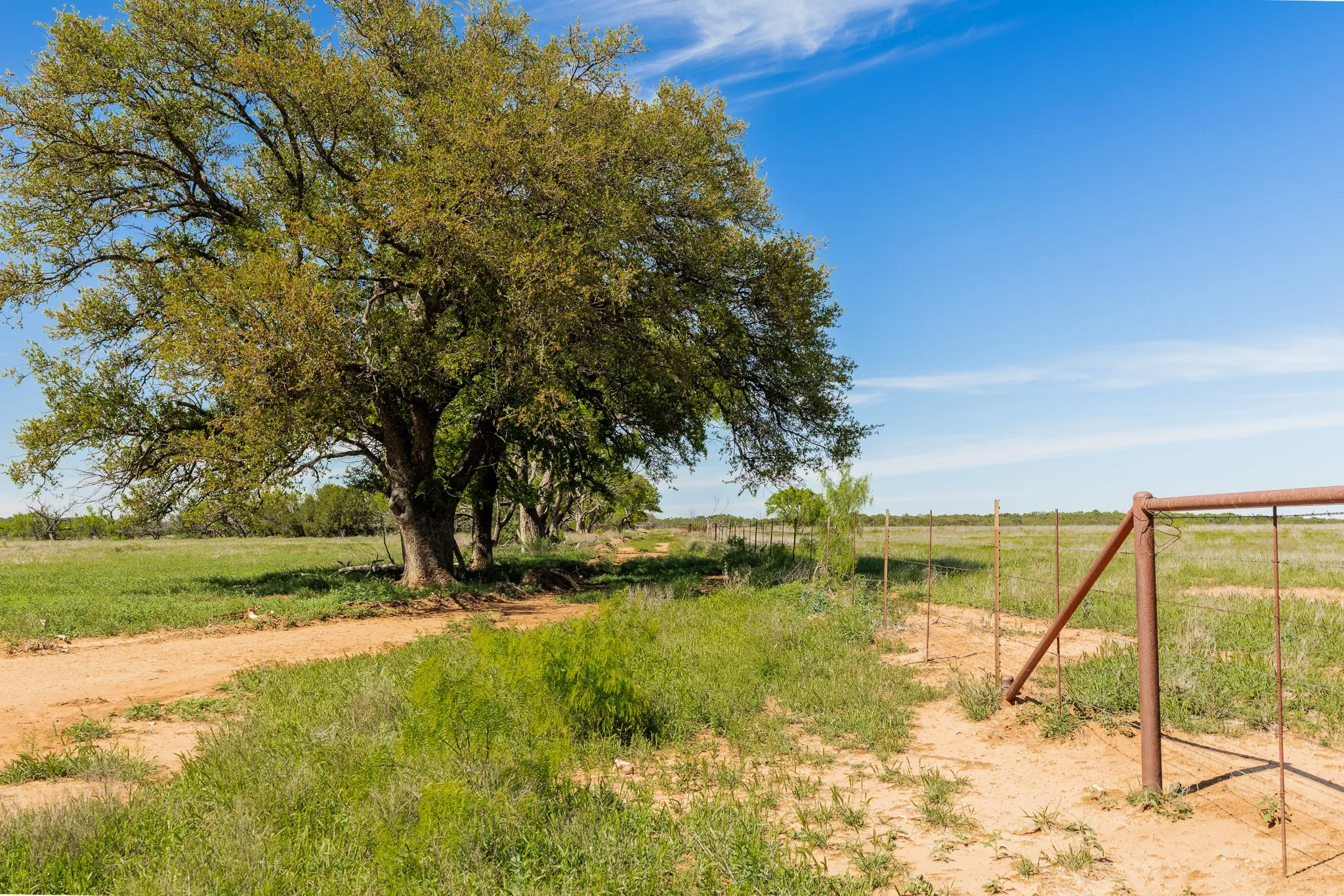 Ranch For Sale in Coleman County , TBD 200 County Road 121, Coleman, Texas 76834, 0, 0, Garage spaces, 0 Sqft, built in 0, mls#21371976, Real Estate Agent in Coleman, Homes For Sale in Coleman county, Homes For Sale in Coleman, Realtor in Coleman Texas, Real Estate Brokerage Independent Realty Texas, Luminita Cordes Realtor