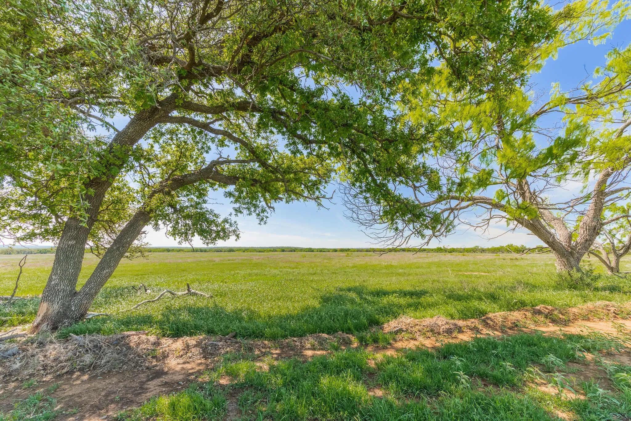 Ranch For Sale in Coleman County , TBD 200 County Road 121, Coleman, Texas 76834, 0, 0, Garage spaces, 0 Sqft, built in 0, mls#21371976, Real Estate Agent in Coleman, Homes For Sale in Coleman county, Homes For Sale in Coleman, Realtor in Coleman Texas, Real Estate Brokerage Independent Realty Texas, Luminita Cordes Realtor