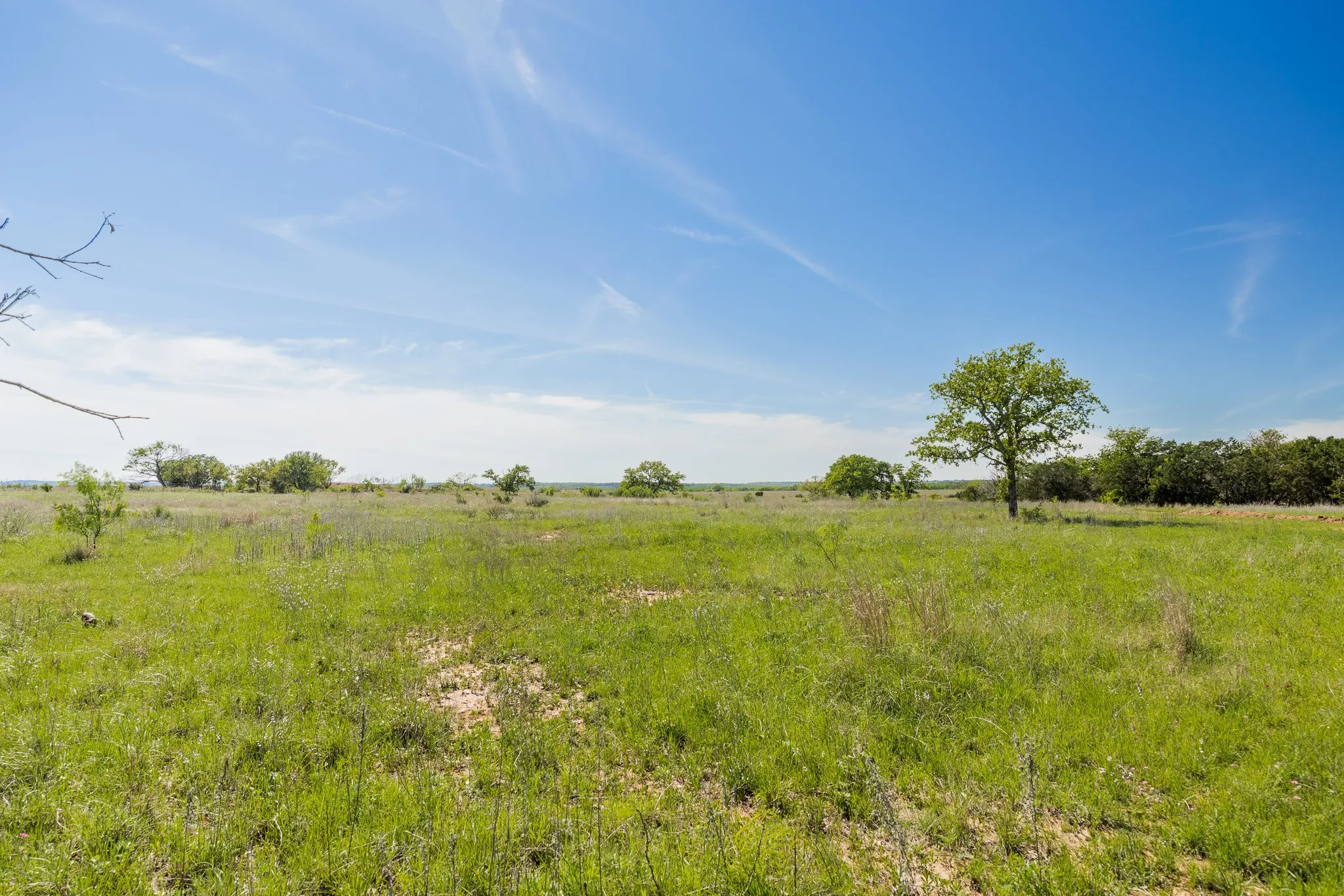 Ranch For Sale in Coleman County , TBD 200 County Road 121, Coleman, Texas 76834, 0, 0, Garage spaces, 0 Sqft, built in 0, mls#21371976, Real Estate Agent in Coleman, Homes For Sale in Coleman county, Homes For Sale in Coleman, Realtor in Coleman Texas, Real Estate Brokerage Independent Realty Texas, Luminita Cordes Realtor