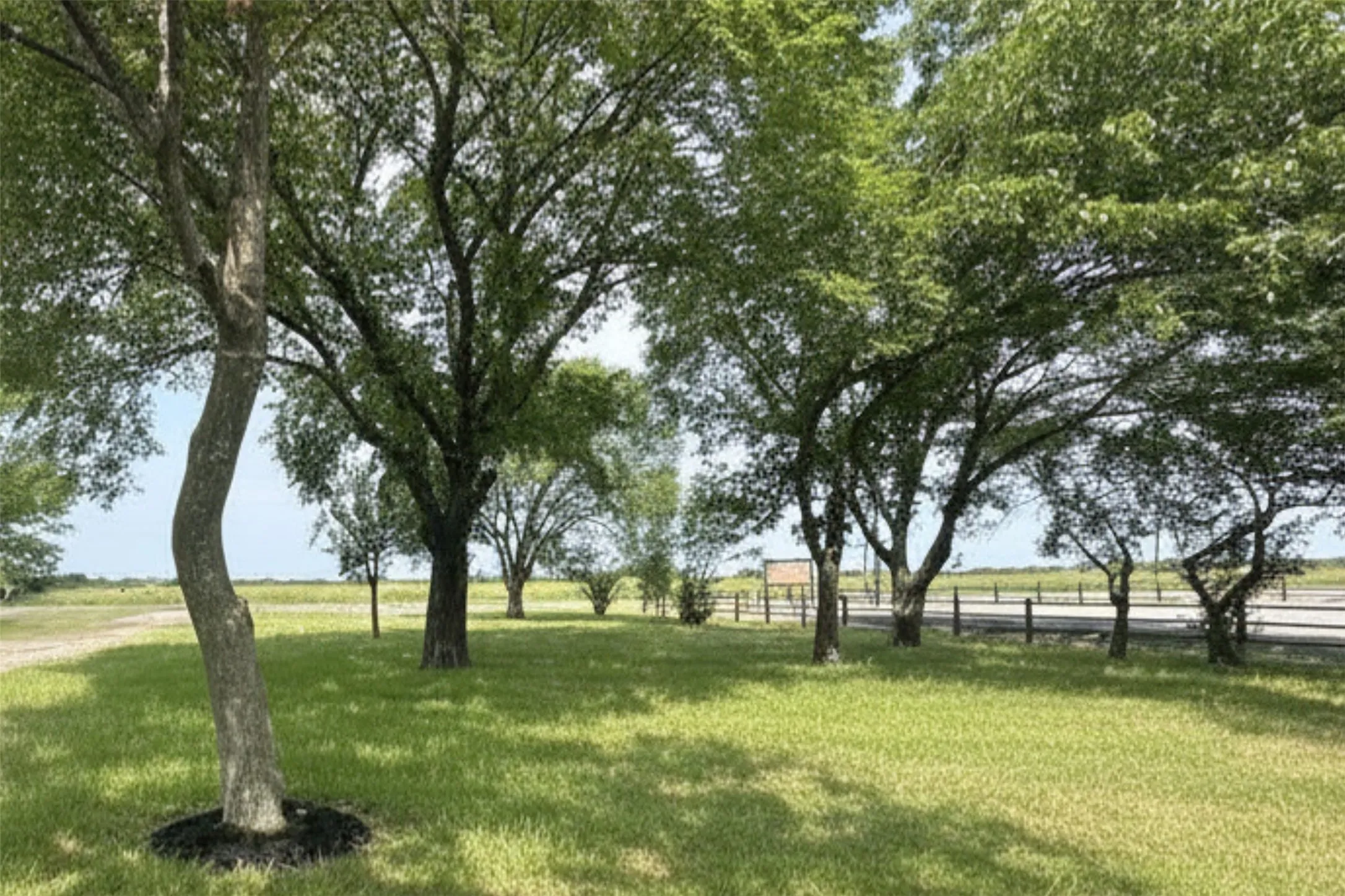 Single Family Residence For Sale in Fannin County , 5772 N State Highway 78, Bonham, Texas 75418, 3 Bedroom, 1 Bathroom, Garage spaces, 1,495 Sqft, built in 1967, mls#21375114, Real Estate Agent in Bonham, Homes For Sale in Fannin county, Homes For Sale in Bonham, Realtor in Bonham Texas, Real Estate Brokerage Independent Realty Texas, Luminita Cordes Realtor