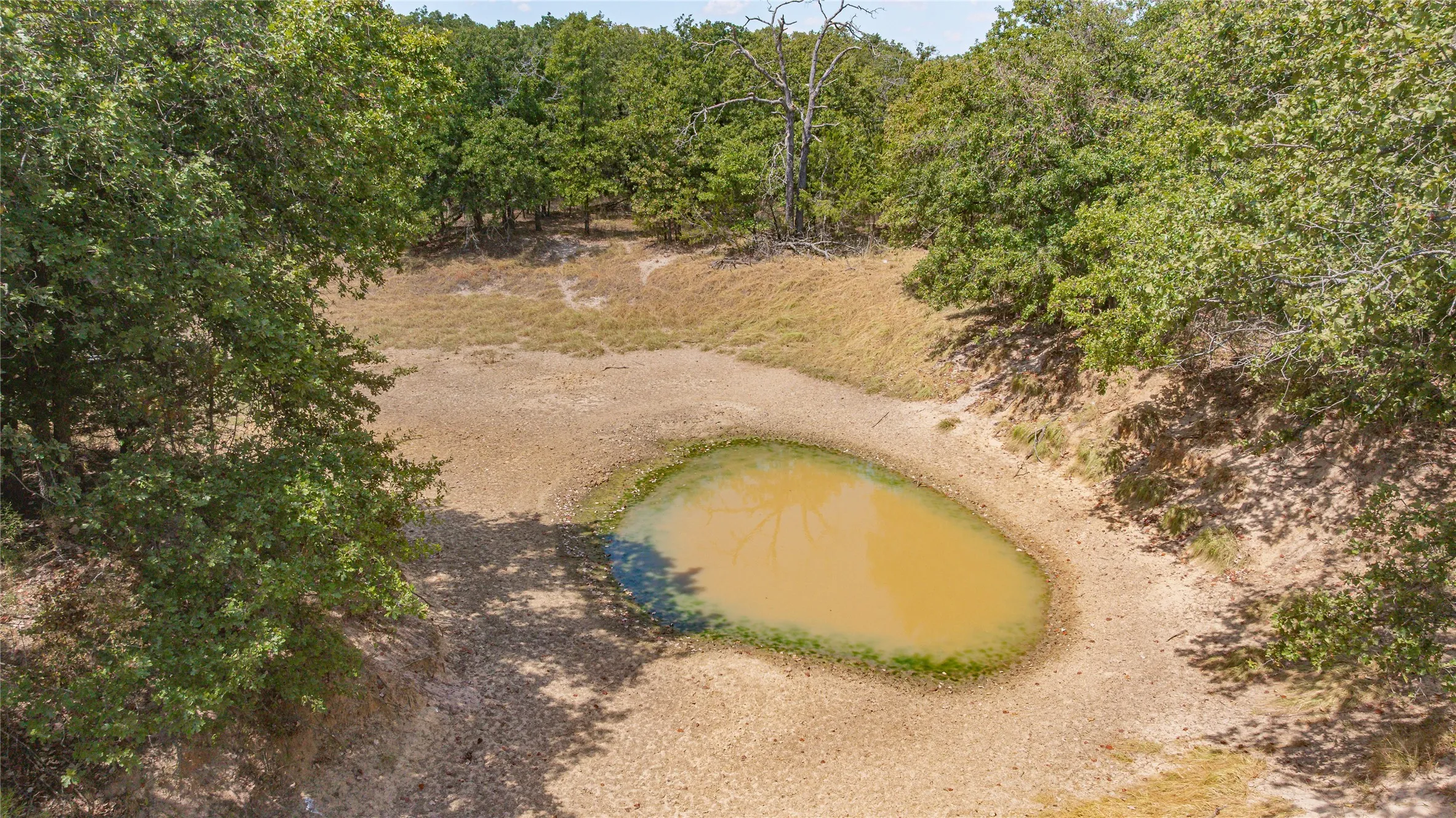 Single Family Residence For Sale in Bosque County , 160 Private Road 2161, Iredell, Texas 76649, 1 Bedroom, 1 Bathroom, 1 Garage spaces, 420 Sqft, built in 2016, mls#21370572, Real Estate Agent in Iredell, Homes For Sale in Bosque county, Homes For Sale in Iredell, Realtor in Iredell Texas, Real Estate Brokerage Independent Realty Texas, Luminita Cordes Realtor