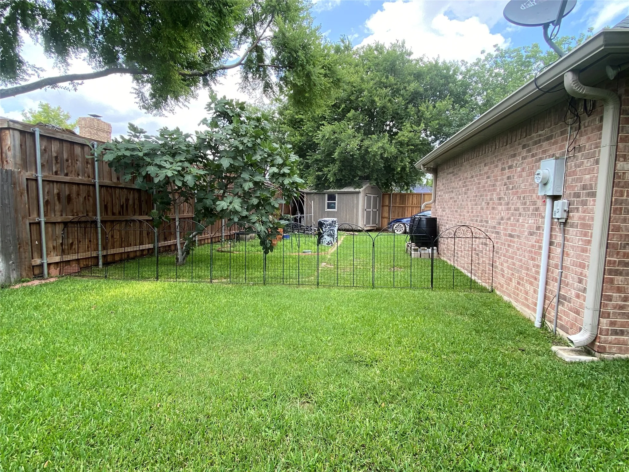 View of yard with a shed