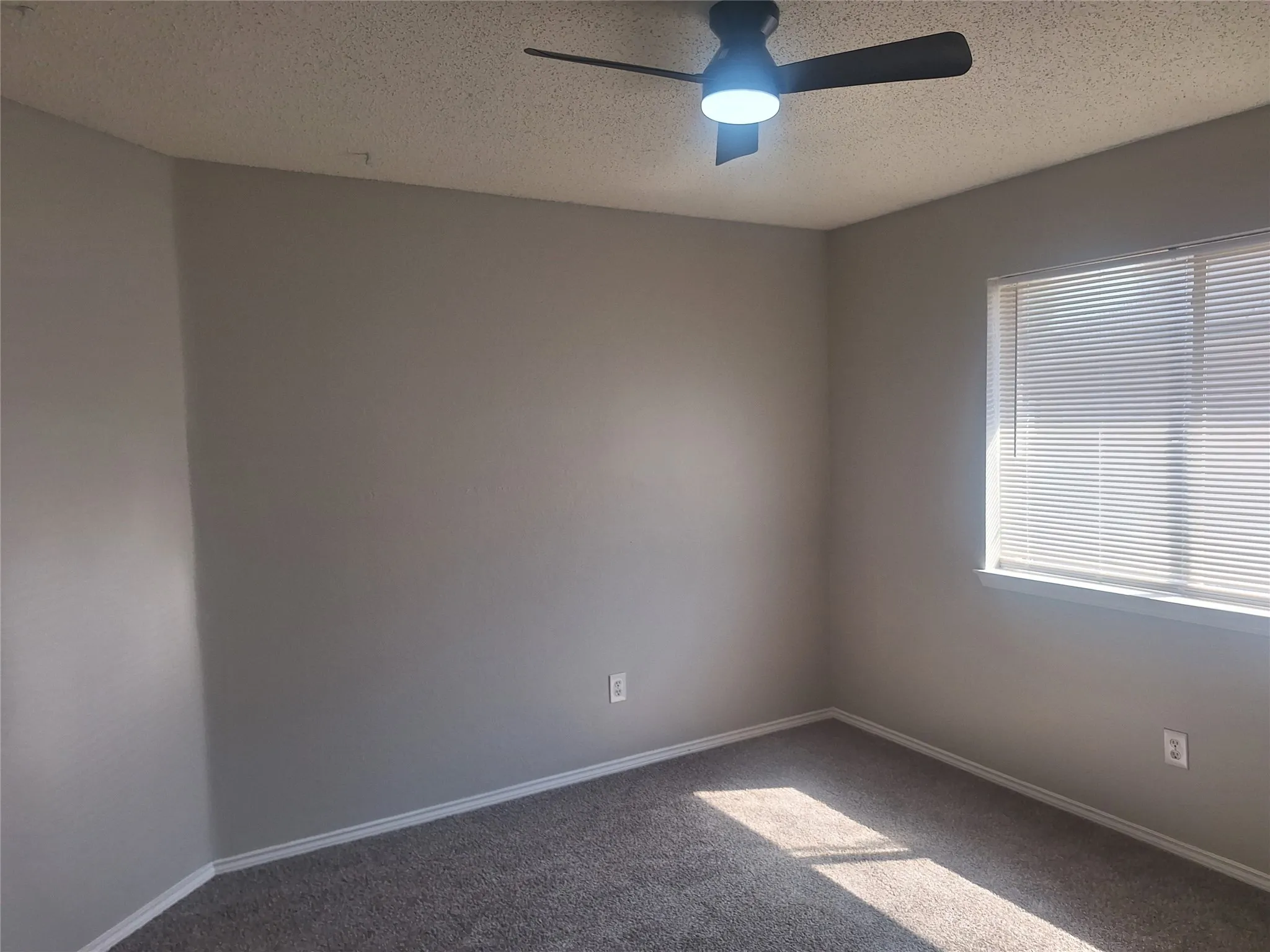 Single Family Residence For Rent in Tarrant County , 3516 Paladin Place, Fort Worth, Texas 76137, 3 Bedroom, 2 Bathroom, 2 Garage spaces, 1,859 Sqft, built in 1998, mls#21375067, Real Estate Agent in Fort Worth, Homes For Rent in Tarrant county, Homes For Rent in Fort Worth, Realtor in Fort Worth Texas, Real Estate Brokerage Independent Realty Texas, Luminita Cordes Realtor