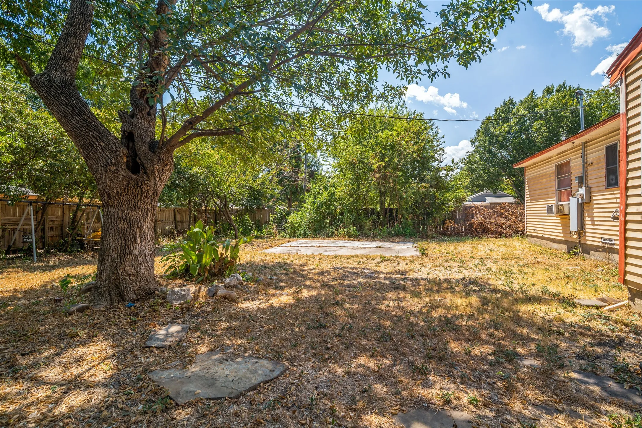 Expansive backyard featuring a mature tree, concrete pad, and wood siding on the building