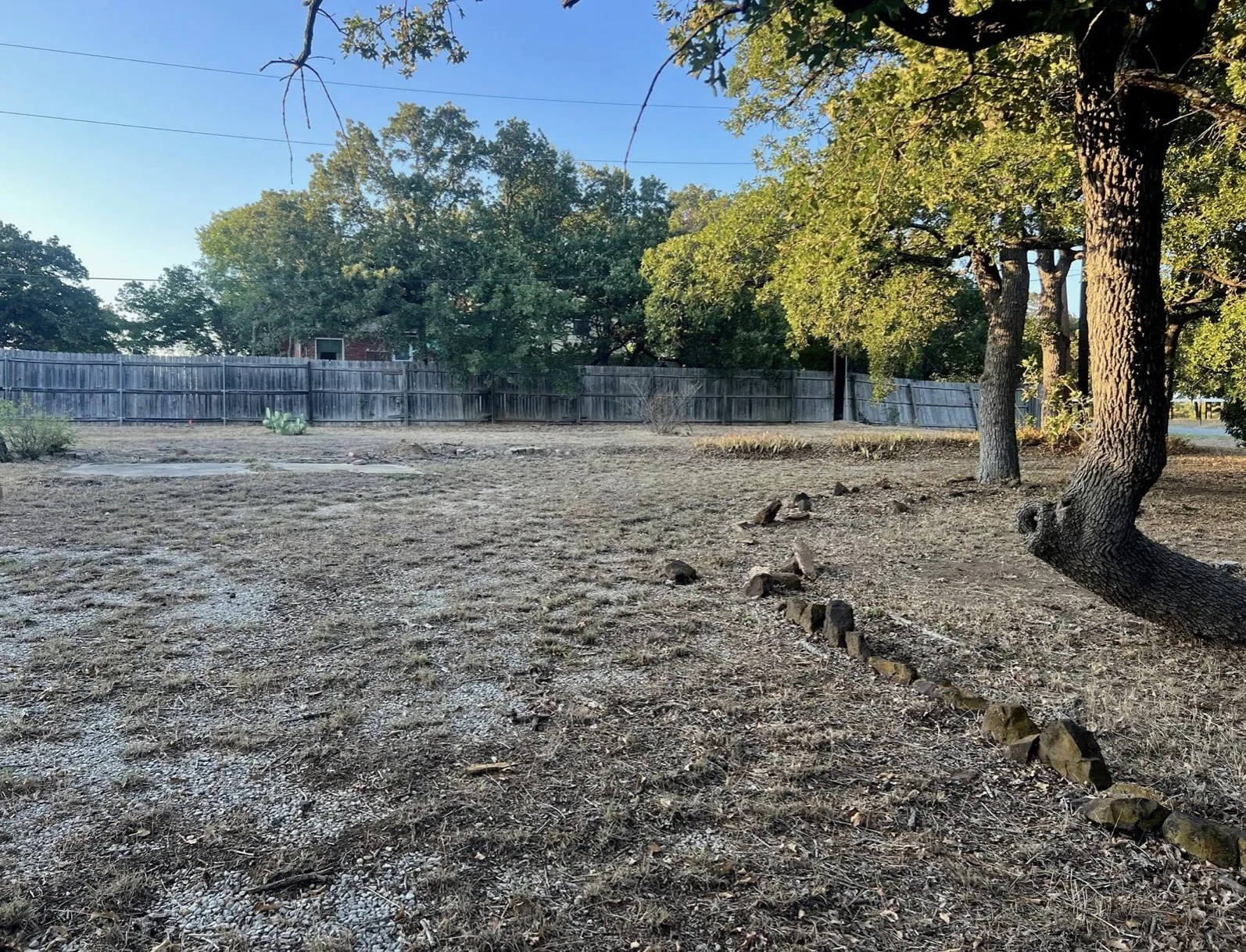 View of yard