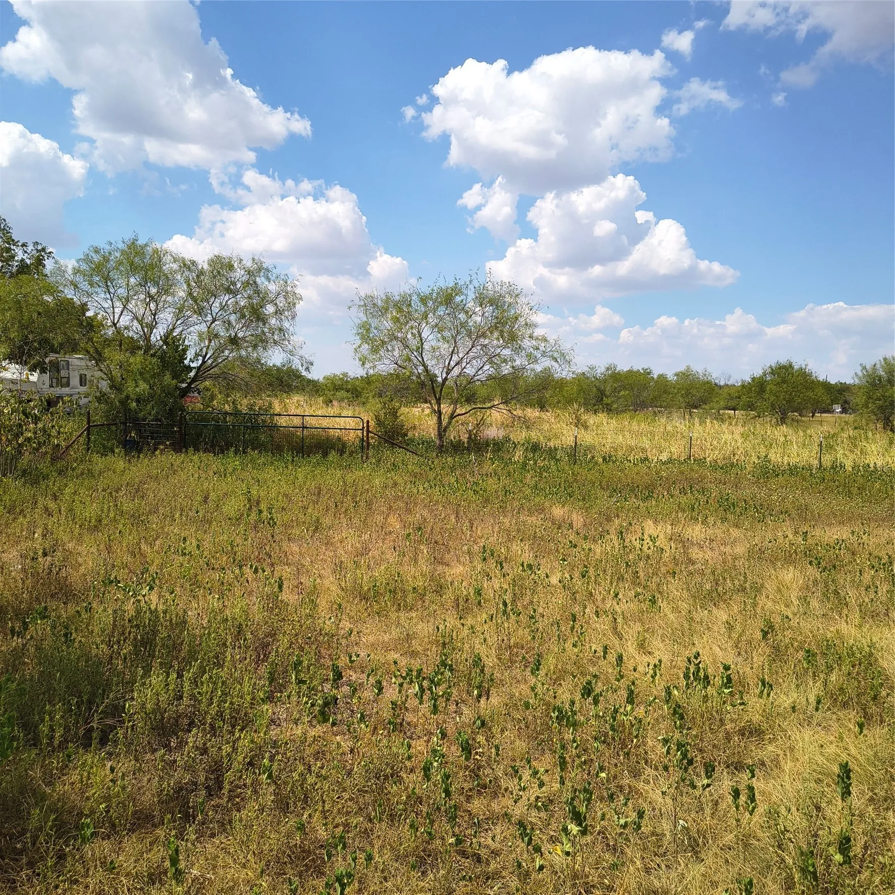 Expansive open field with scattered trees and a metal gate