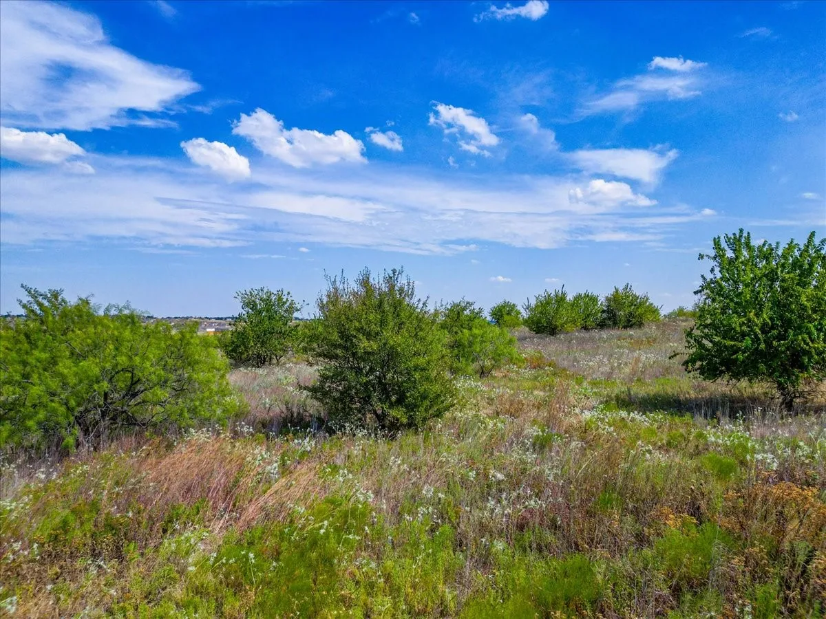 Unimproved Land For Sale in Tarrant County , 11830 Old Weatherford Road, Aledo, Texas 76008, 0, 0, Garage spaces, 0 Sqft, built in 0, mls#21374426, Real Estate Agent in Aledo, Homes For Sale in Tarrant county, Homes For Sale in Aledo, Realtor in Aledo Texas, Real Estate Brokerage Independent Realty Texas, Luminita Cordes Realtor