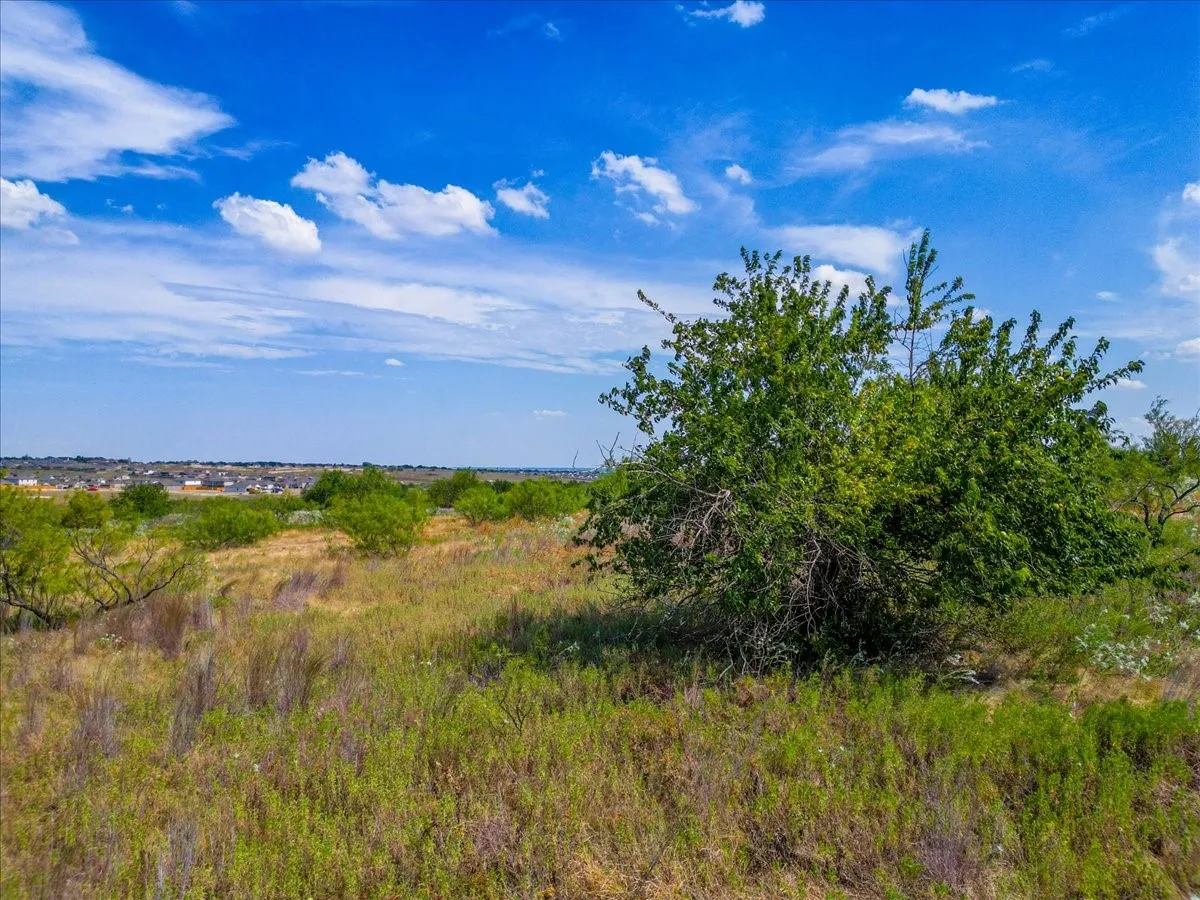 Unimproved Land For Sale in Tarrant County , 11830 Old Weatherford Road, Aledo, Texas 76008, 0, 0, Garage spaces, 0 Sqft, built in 0, mls#21374426, Real Estate Agent in Aledo, Homes For Sale in Tarrant county, Homes For Sale in Aledo, Realtor in Aledo Texas, Real Estate Brokerage Independent Realty Texas, Luminita Cordes Realtor