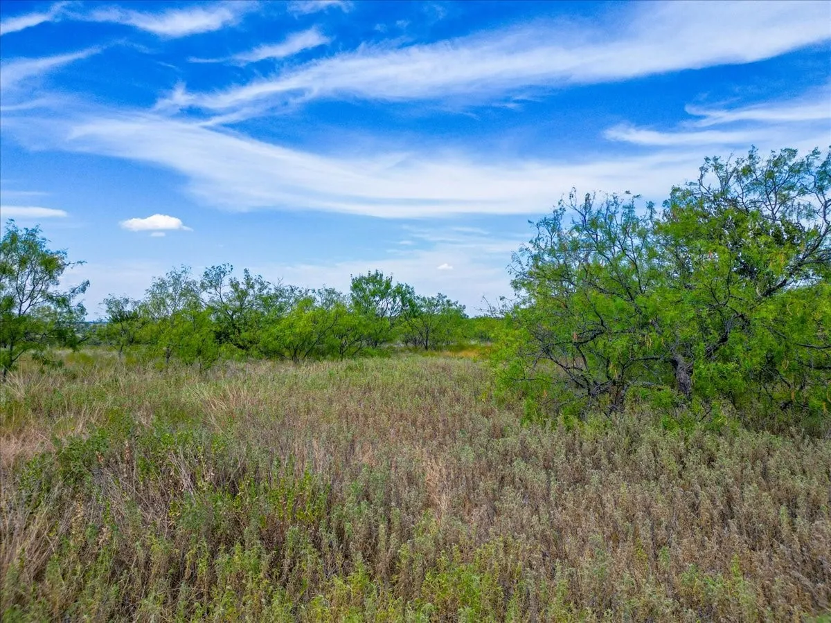 Unimproved Land For Sale in Tarrant County , 11830 Old Weatherford Road, Aledo, Texas 76008, 0, 0, Garage spaces, 0 Sqft, built in 0, mls#21374426, Real Estate Agent in Aledo, Homes For Sale in Tarrant county, Homes For Sale in Aledo, Realtor in Aledo Texas, Real Estate Brokerage Independent Realty Texas, Luminita Cordes Realtor