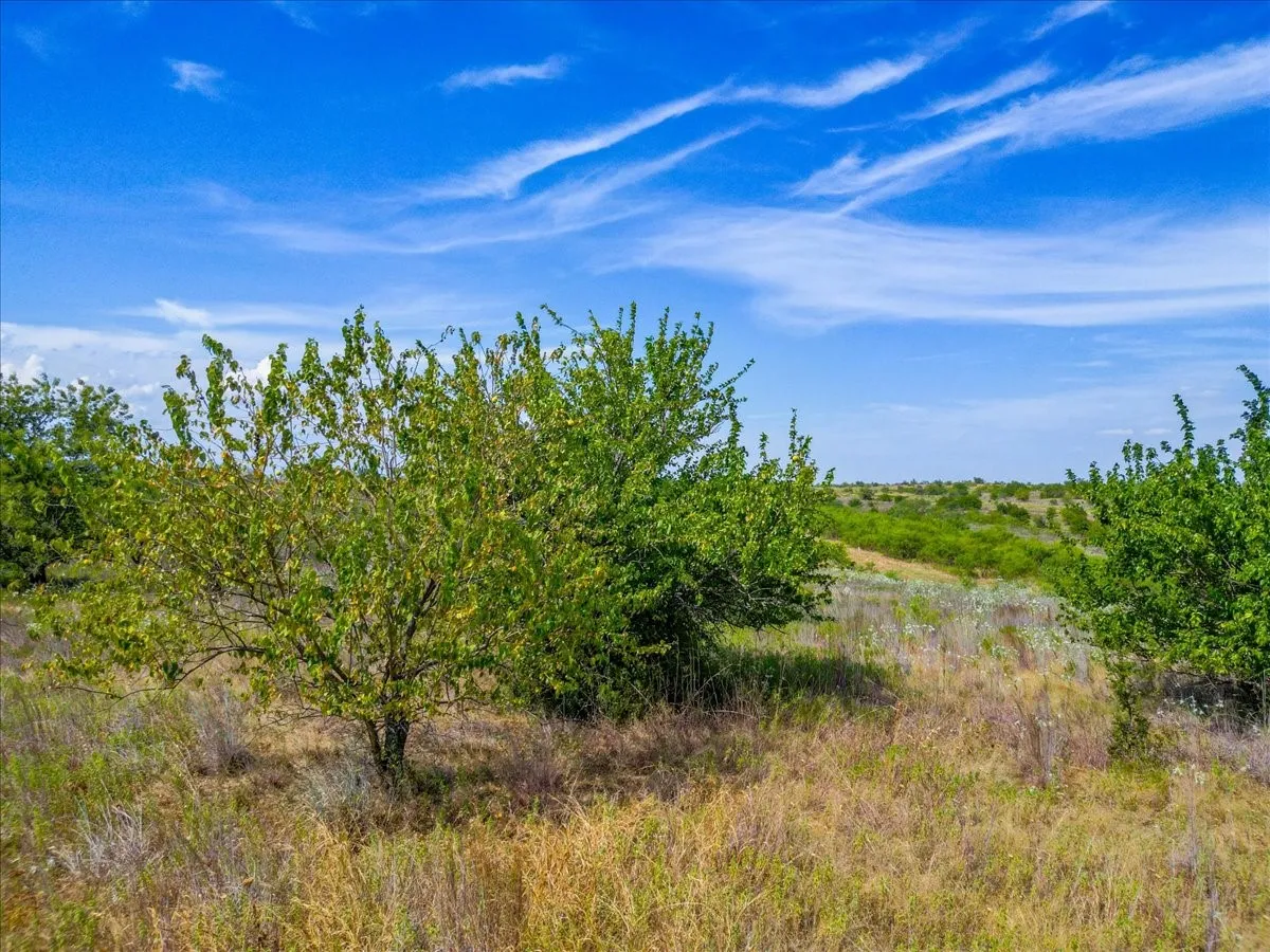 Unimproved Land For Sale in Tarrant County , 11830 Old Weatherford Road, Aledo, Texas 76008, 0, 0, Garage spaces, 0 Sqft, built in 0, mls#21374426, Real Estate Agent in Aledo, Homes For Sale in Tarrant county, Homes For Sale in Aledo, Realtor in Aledo Texas, Real Estate Brokerage Independent Realty Texas, Luminita Cordes Realtor