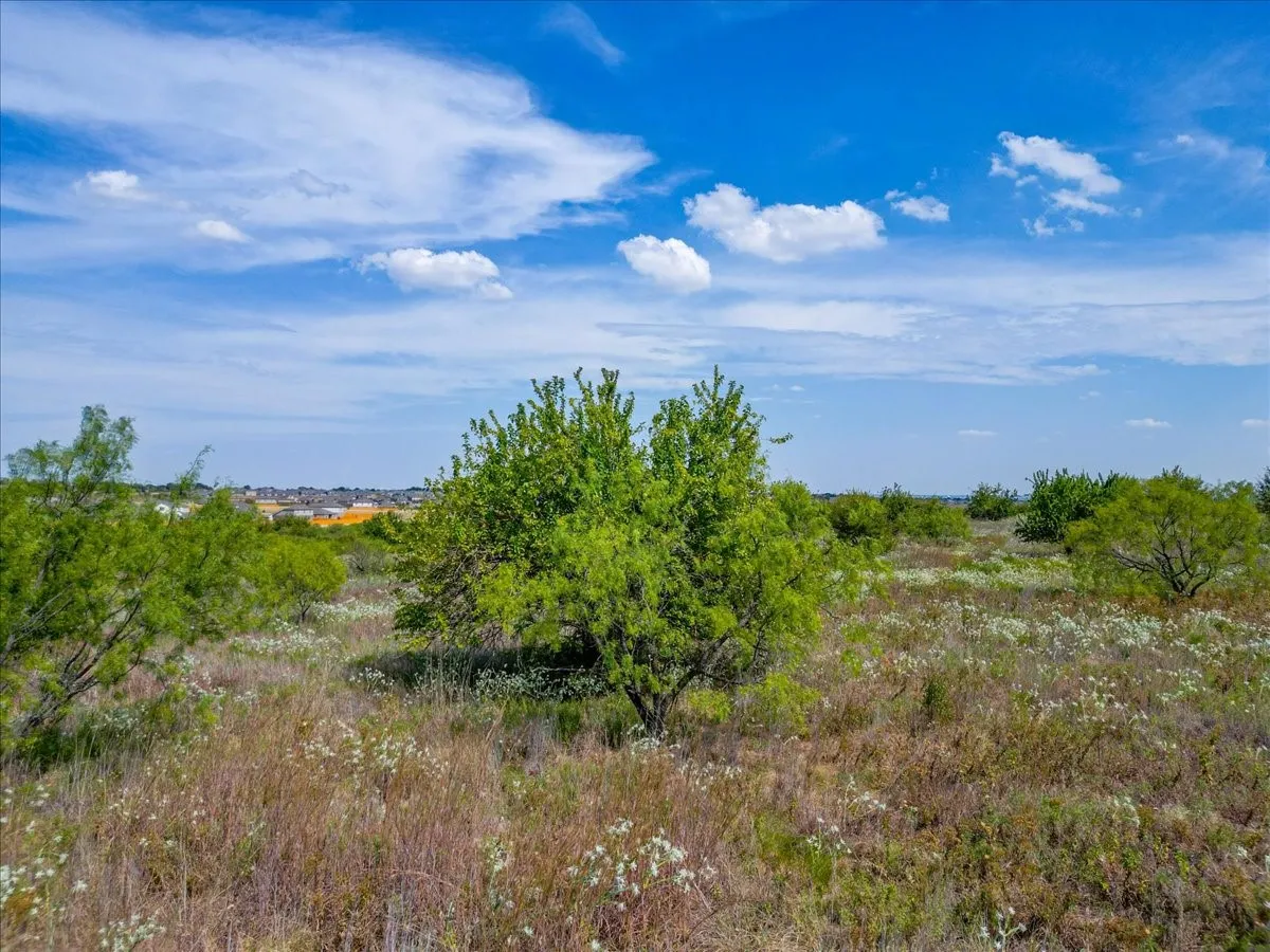 Unimproved Land For Sale in Tarrant County , 11830 Old Weatherford Road, Aledo, Texas 76008, 0, 0, Garage spaces, 0 Sqft, built in 0, mls#21374426, Real Estate Agent in Aledo, Homes For Sale in Tarrant county, Homes For Sale in Aledo, Realtor in Aledo Texas, Real Estate Brokerage Independent Realty Texas, Luminita Cordes Realtor