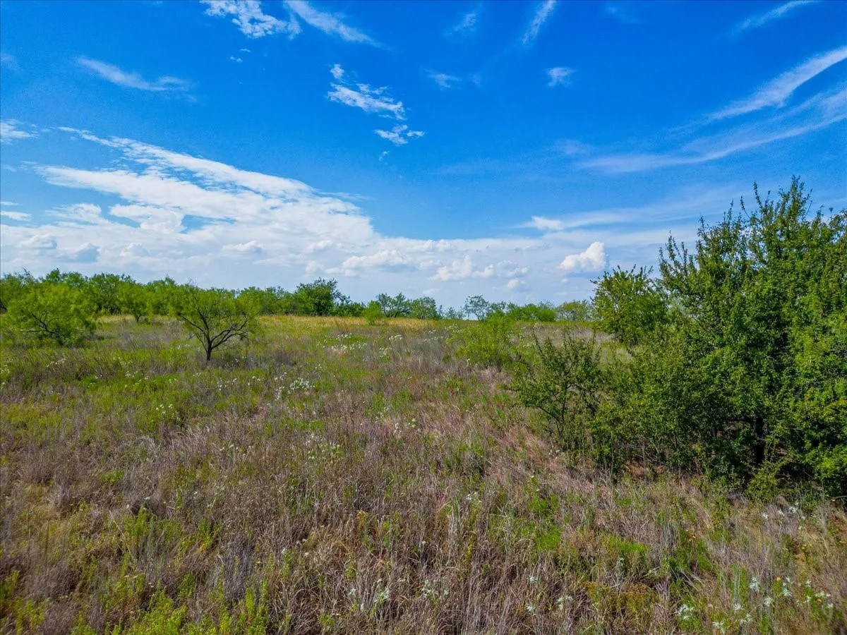 Unimproved Land For Sale in Tarrant County , 11830 Old Weatherford Road, Aledo, Texas 76008, 0, 0, Garage spaces, 0 Sqft, built in 0, mls#21374426, Real Estate Agent in Aledo, Homes For Sale in Tarrant county, Homes For Sale in Aledo, Realtor in Aledo Texas, Real Estate Brokerage Independent Realty Texas, Luminita Cordes Realtor