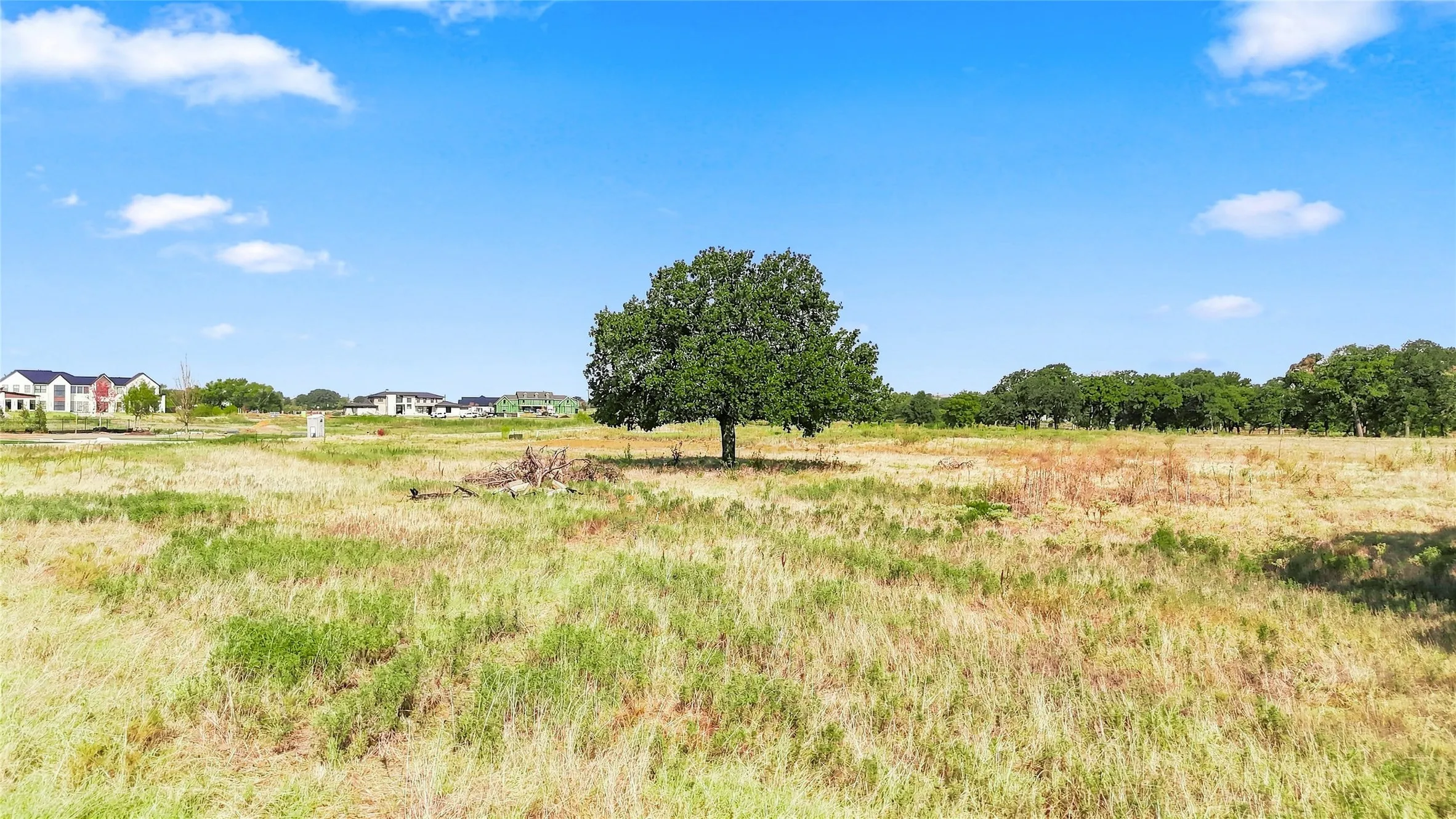 Expansive open land featuring natural grasses and mature trees