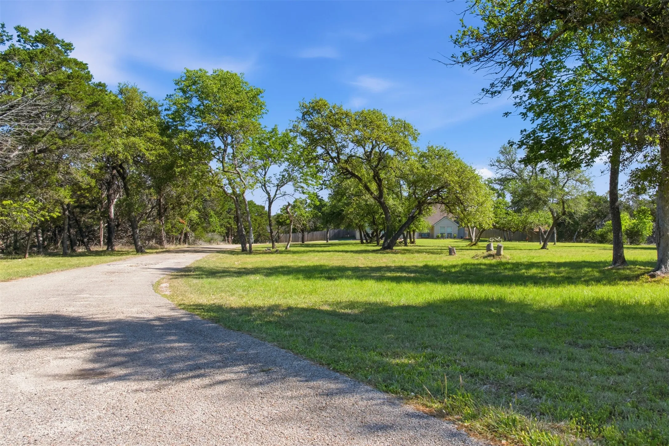 Paved drive with mature trees and a manicured lawn
