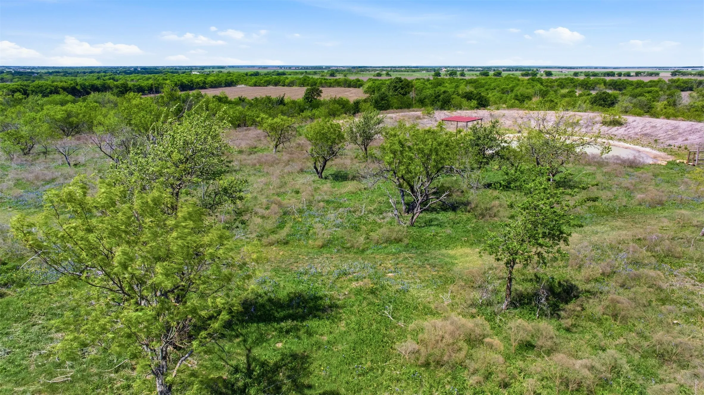 Expansive open land with varied vegetation and scattered trees