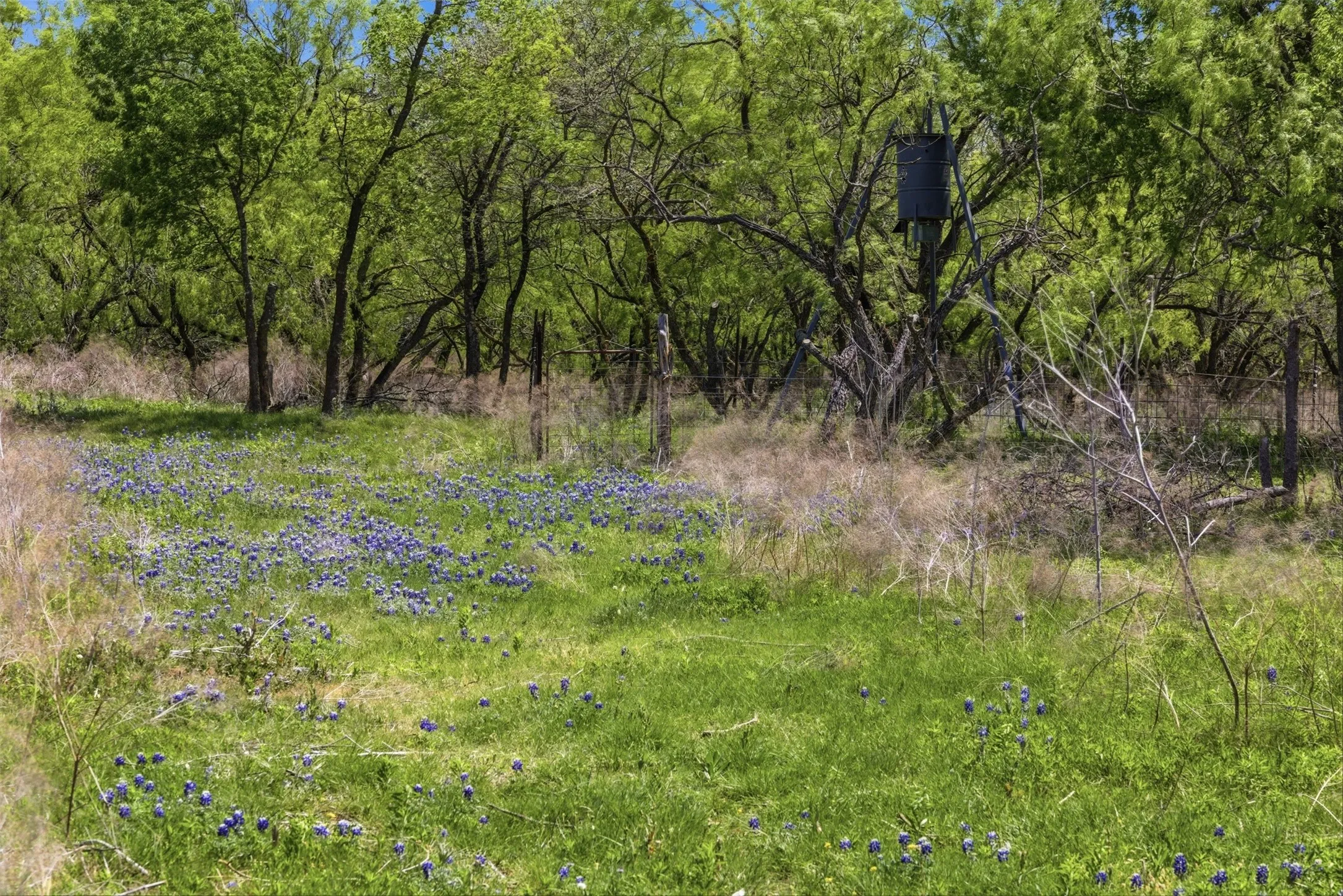 Expanse of natural terrain featuring vibrant green foliage