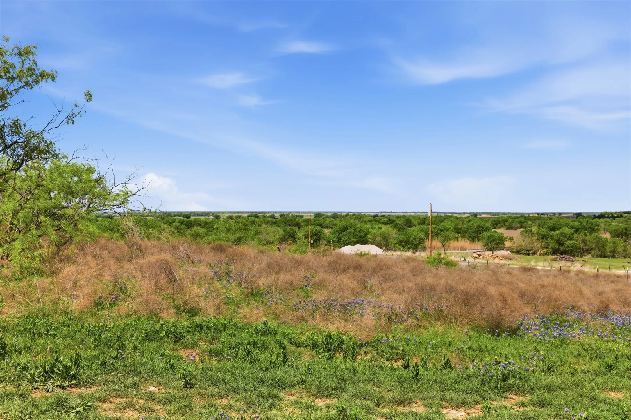 Expansive land offering diverse vegetation and a clear sky backdrop
