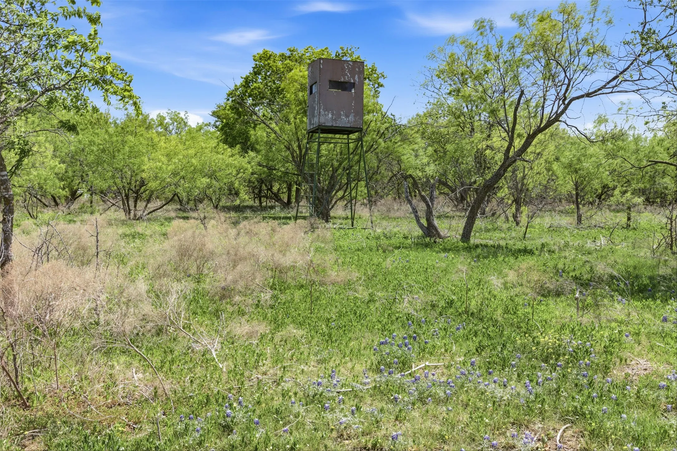 Unimproved Land For Sale in Bell County , 6947 Moody Road, Moody, Texas 76557, 0, 0, Garage spaces, 0 Sqft, built in 0, mls#21374998, Real Estate Agent in Moody, Homes For Sale in Bell county, Homes For Sale in Moody, Realtor in Moody Texas, Real Estate Brokerage Independent Realty Texas, Luminita Cordes Realtor