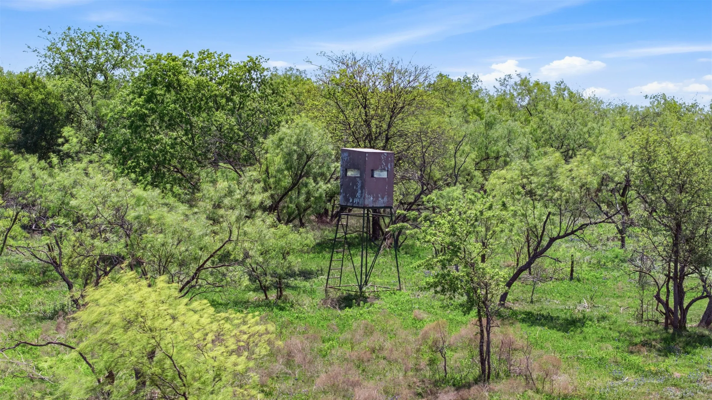Unimproved Land For Sale in Bell County , 6947 Moody Road, Moody, Texas 76557, 0, 0, Garage spaces, 0 Sqft, built in 0, mls#21374998, Real Estate Agent in Moody, Homes For Sale in Bell county, Homes For Sale in Moody, Realtor in Moody Texas, Real Estate Brokerage Independent Realty Texas, Luminita Cordes Realtor