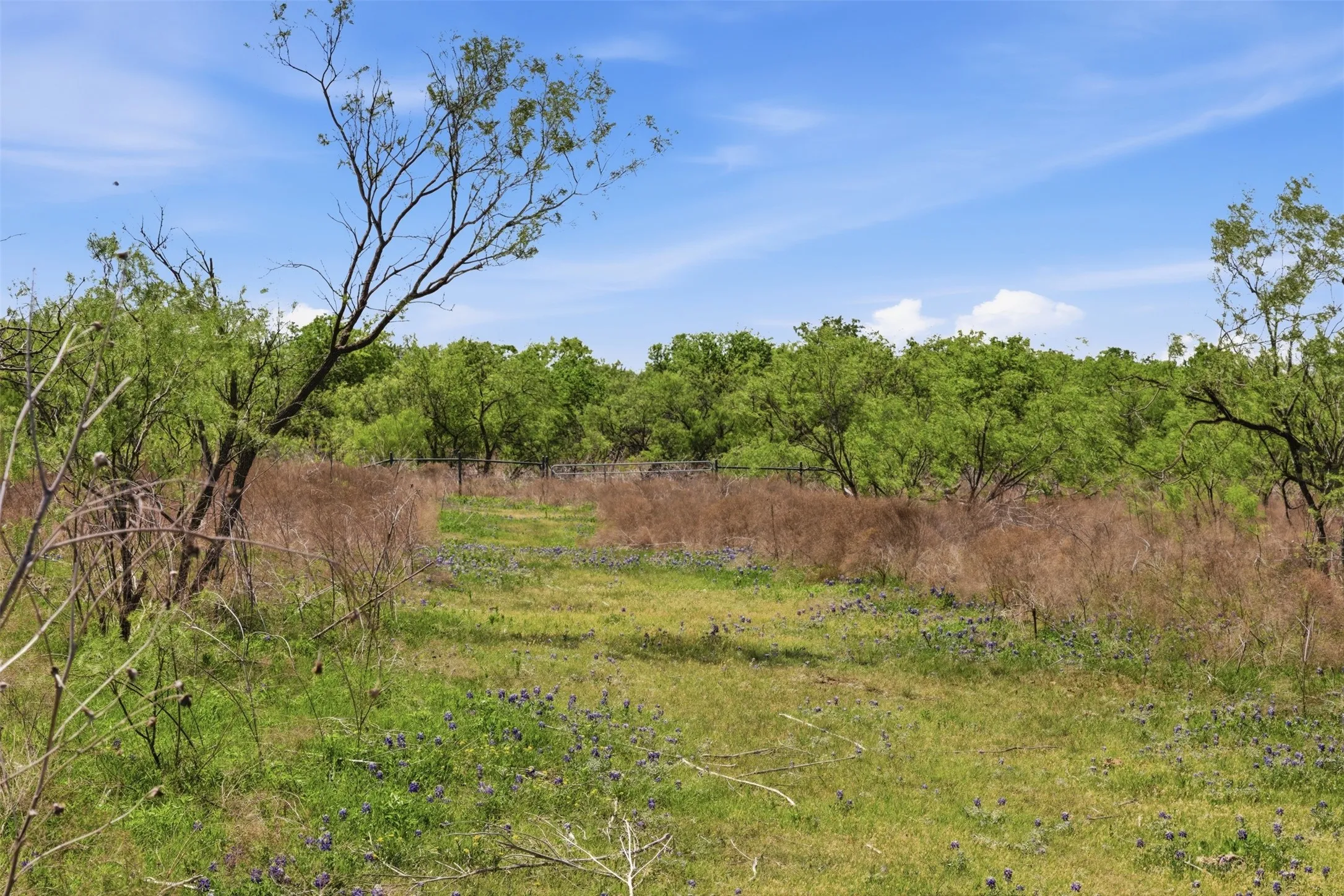Expansive natural landscape with varied foliage and a clear blue sky