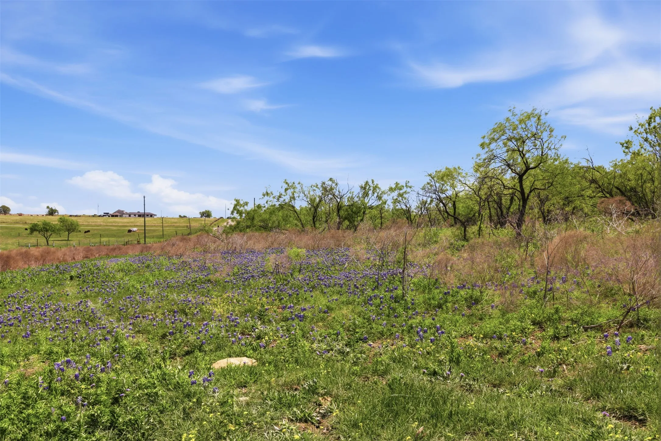 Unimproved Land For Sale in Bell County , 6947 Moody Road, Moody, Texas 76557, 0, 0, Garage spaces, 0 Sqft, built in 0, mls#21374998, Real Estate Agent in Moody, Homes For Sale in Bell county, Homes For Sale in Moody, Realtor in Moody Texas, Real Estate Brokerage Independent Realty Texas, Luminita Cordes Realtor