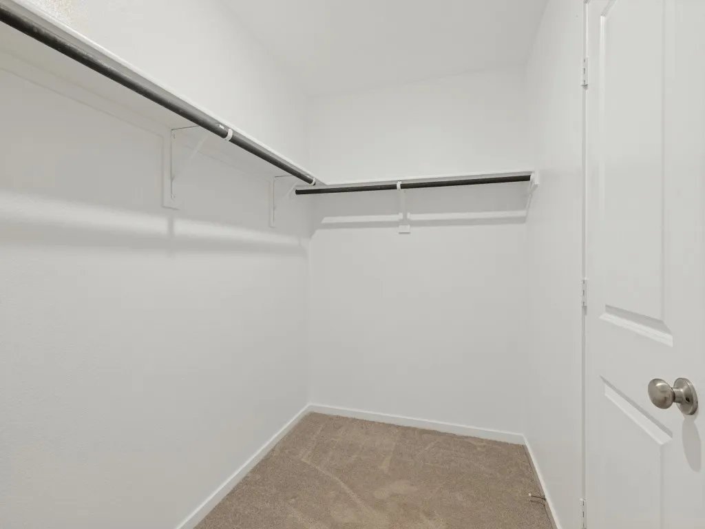 Walk-in closet featuring carpet flooring, crisp white walls, and dual clothing rods with shelving