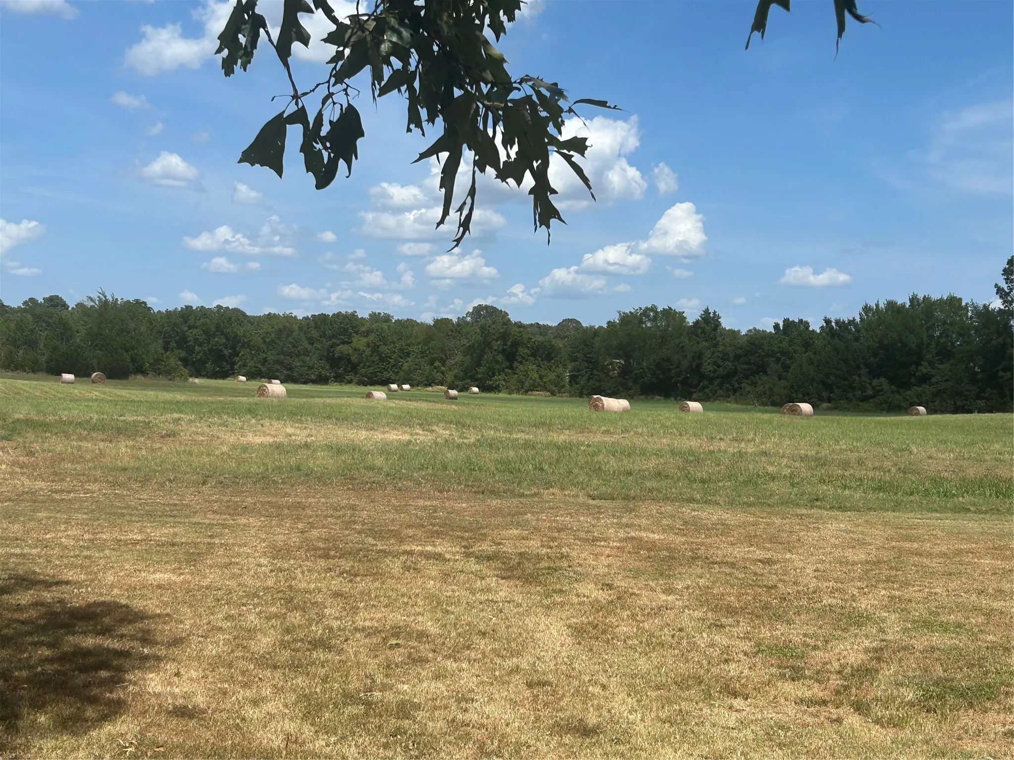 Single Family Residence For Sale in Lamar County , 1620 FR 3298, Powderly, Texas 75473, 2 Bedroom, 3 Bathroom, 2 Garage spaces, 1,822 Sqft, built in 2011, mls#21375371, Real Estate Agent in Powderly, Homes For Sale in Lamar county, Homes For Sale in Powderly, Realtor in Powderly Texas, Real Estate Brokerage Independent Realty Texas, Luminita Cordes Realtor
