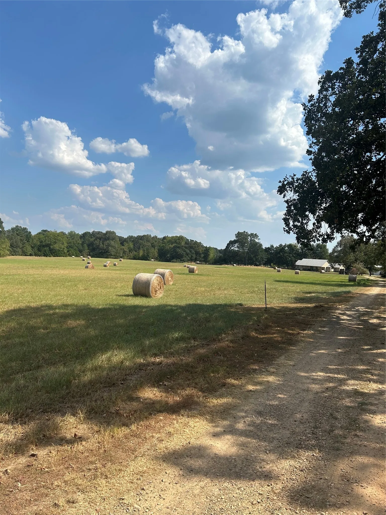 Single Family Residence For Sale in Lamar County , 1620 FR 3298, Powderly, Texas 75473, 2 Bedroom, 3 Bathroom, 2 Garage spaces, 1,822 Sqft, built in 2011, mls#21375371, Real Estate Agent in Powderly, Homes For Sale in Lamar county, Homes For Sale in Powderly, Realtor in Powderly Texas, Real Estate Brokerage Independent Realty Texas, Luminita Cordes Realtor