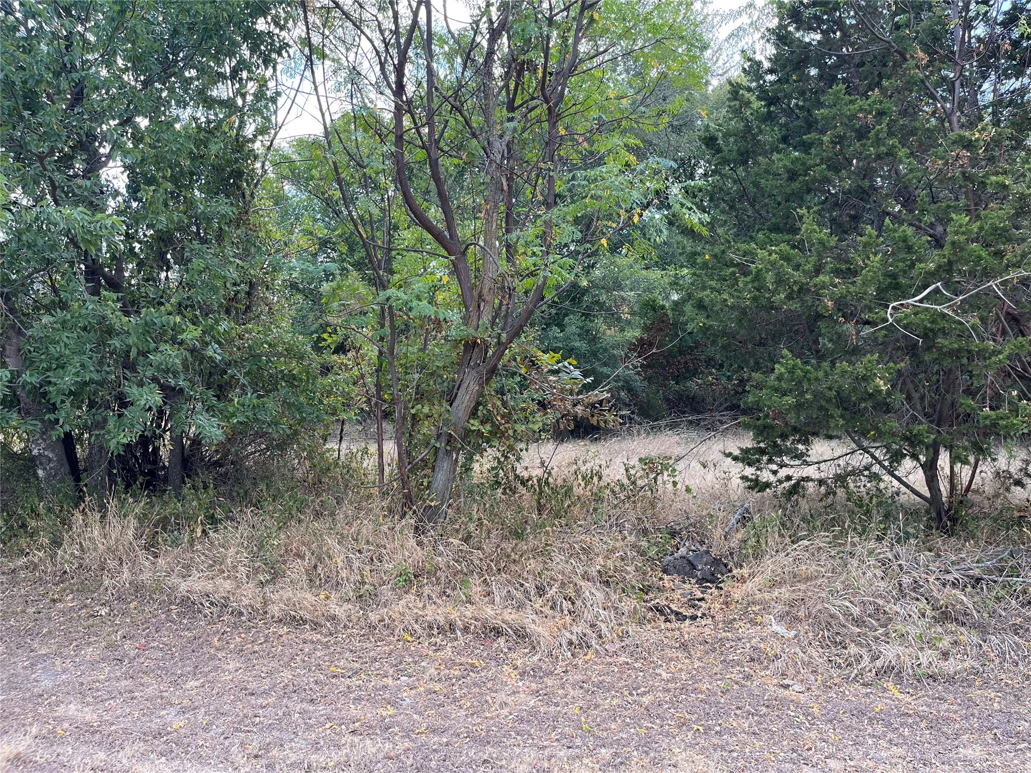 Unimproved Land For Sale in Bosque County , TBD Denmark Street, Walnut Springs, Texas 76690, 0, 0, Garage spaces, 0 Sqft, built in 0, mls#21375373, Real Estate Agent in Walnut Springs, Homes For Sale in Bosque county, Homes For Sale in Walnut Springs, Realtor in Walnut Springs Texas, Real Estate Brokerage Independent Realty Texas, Luminita Cordes Realtor