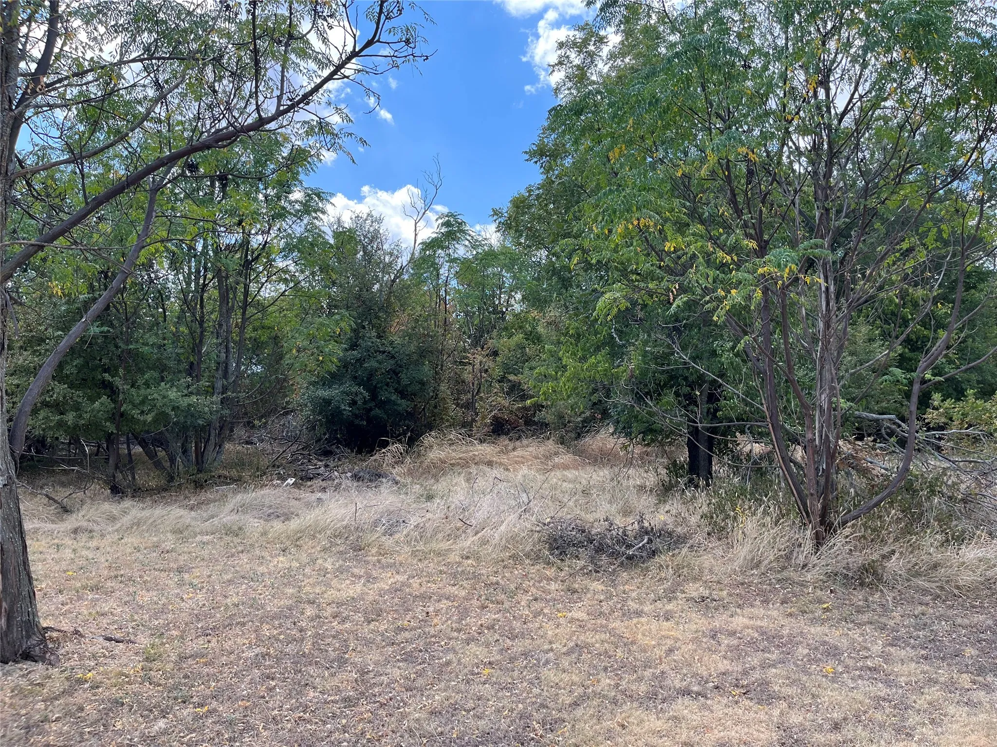 Unimproved Land For Sale in Bosque County , TBD Denmark Street, Walnut Springs, Texas 76690, 0, 0, Garage spaces, 0 Sqft, built in 0, mls#21375373, Real Estate Agent in Walnut Springs, Homes For Sale in Bosque county, Homes For Sale in Walnut Springs, Realtor in Walnut Springs Texas, Real Estate Brokerage Independent Realty Texas, Luminita Cordes Realtor