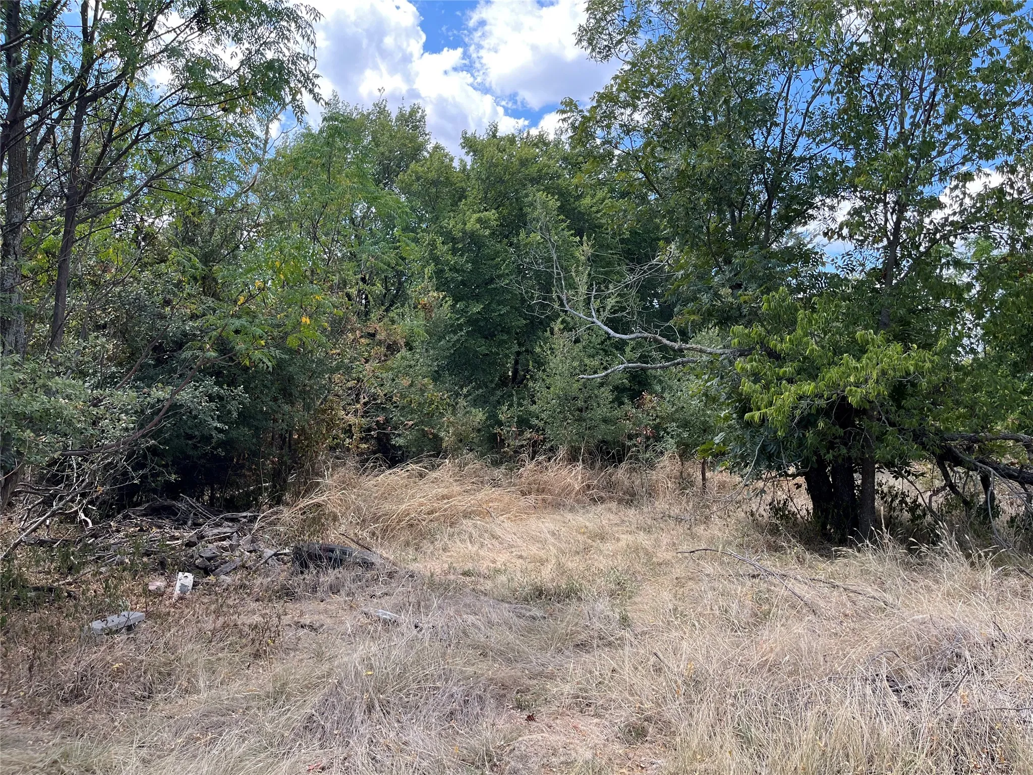 Unimproved Land For Sale in Bosque County , TBD Denmark Street, Walnut Springs, Texas 76690, 0, 0, Garage spaces, 0 Sqft, built in 0, mls#21375373, Real Estate Agent in Walnut Springs, Homes For Sale in Bosque county, Homes For Sale in Walnut Springs, Realtor in Walnut Springs Texas, Real Estate Brokerage Independent Realty Texas, Luminita Cordes Realtor