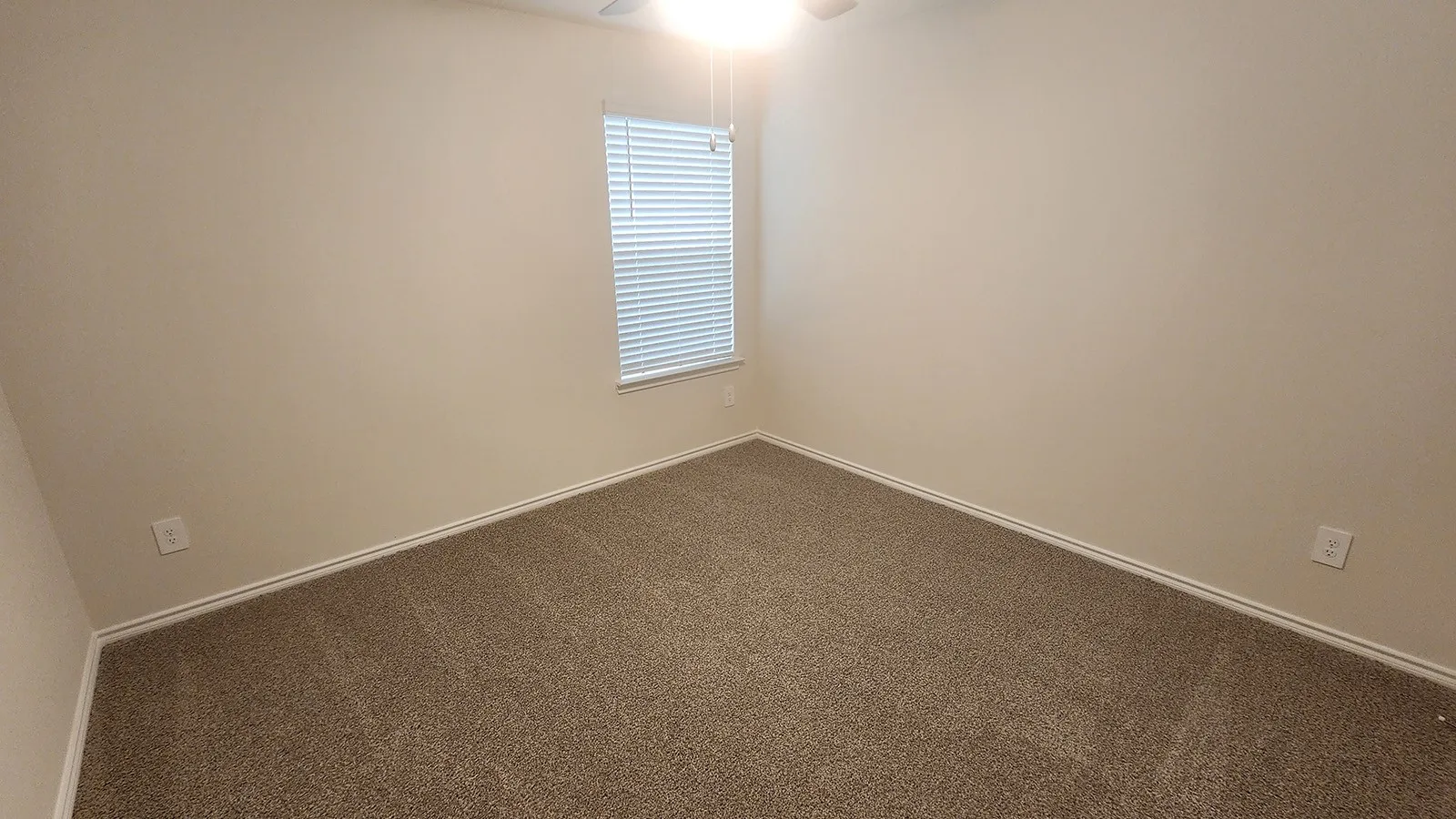 Wall-to-wall carpeting with light-toned walls and a window with blinds