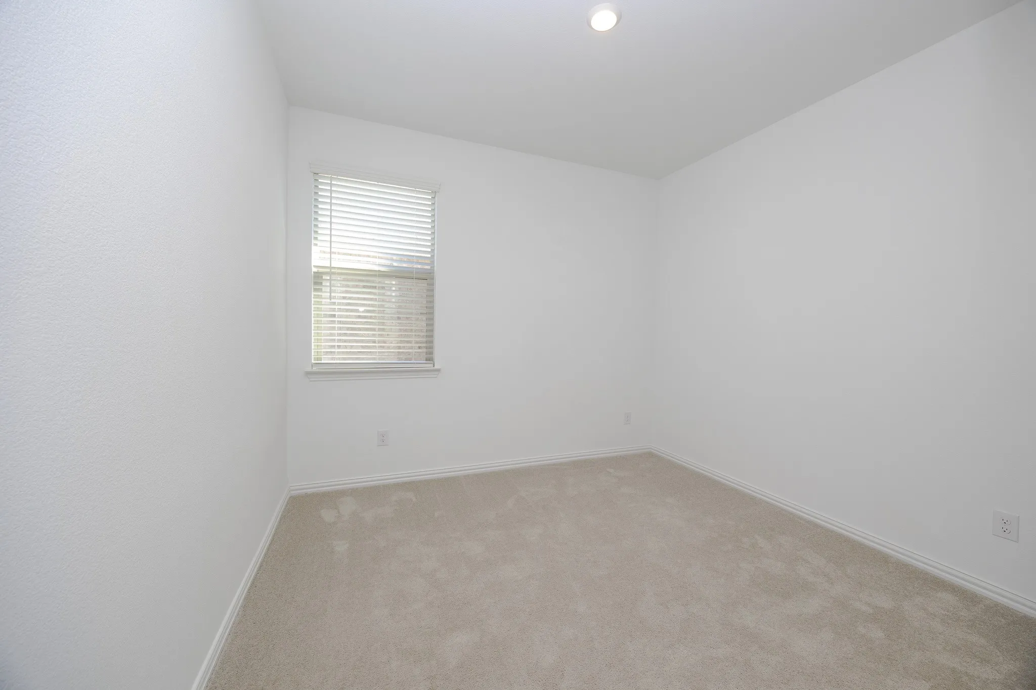 Recessed ceiling light, neutral carpeting, single window with blinds, and white wall finishes