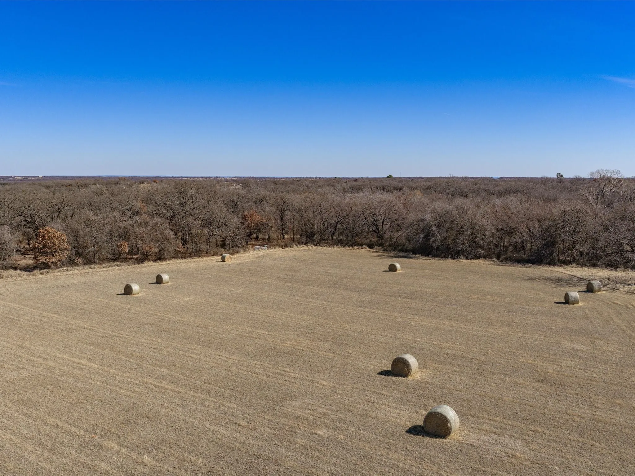 Expansive open field bordered by mature trees